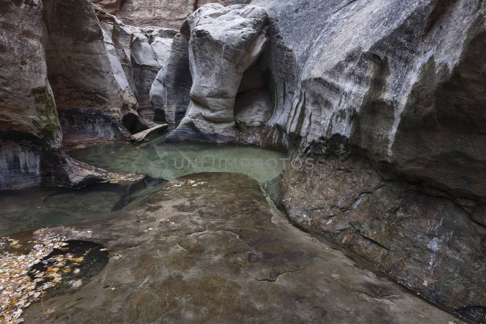 Beautiful patterns of light and shadow in The Subway, a famous slot canyon in the Left Fork North Creek, Zion National Park.