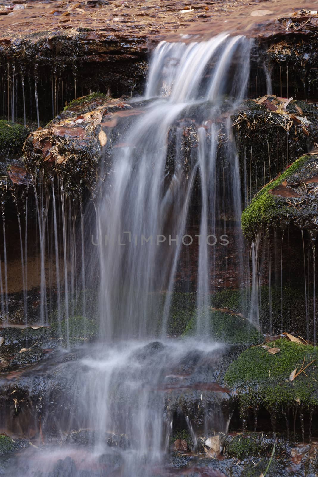 Waterfall in the Left Fork North Creek, Zion National Park by emiddelkoop