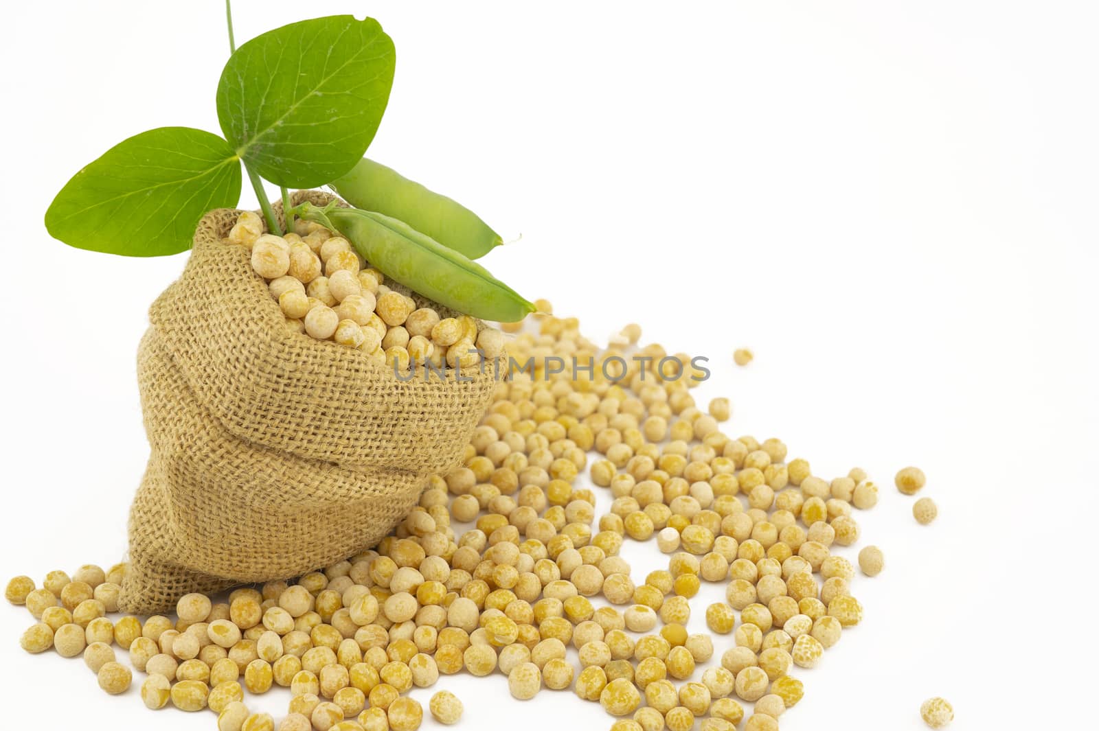Small hessian bag filled with dried chickpeas spilling onto a white background with green leaves and copy space
