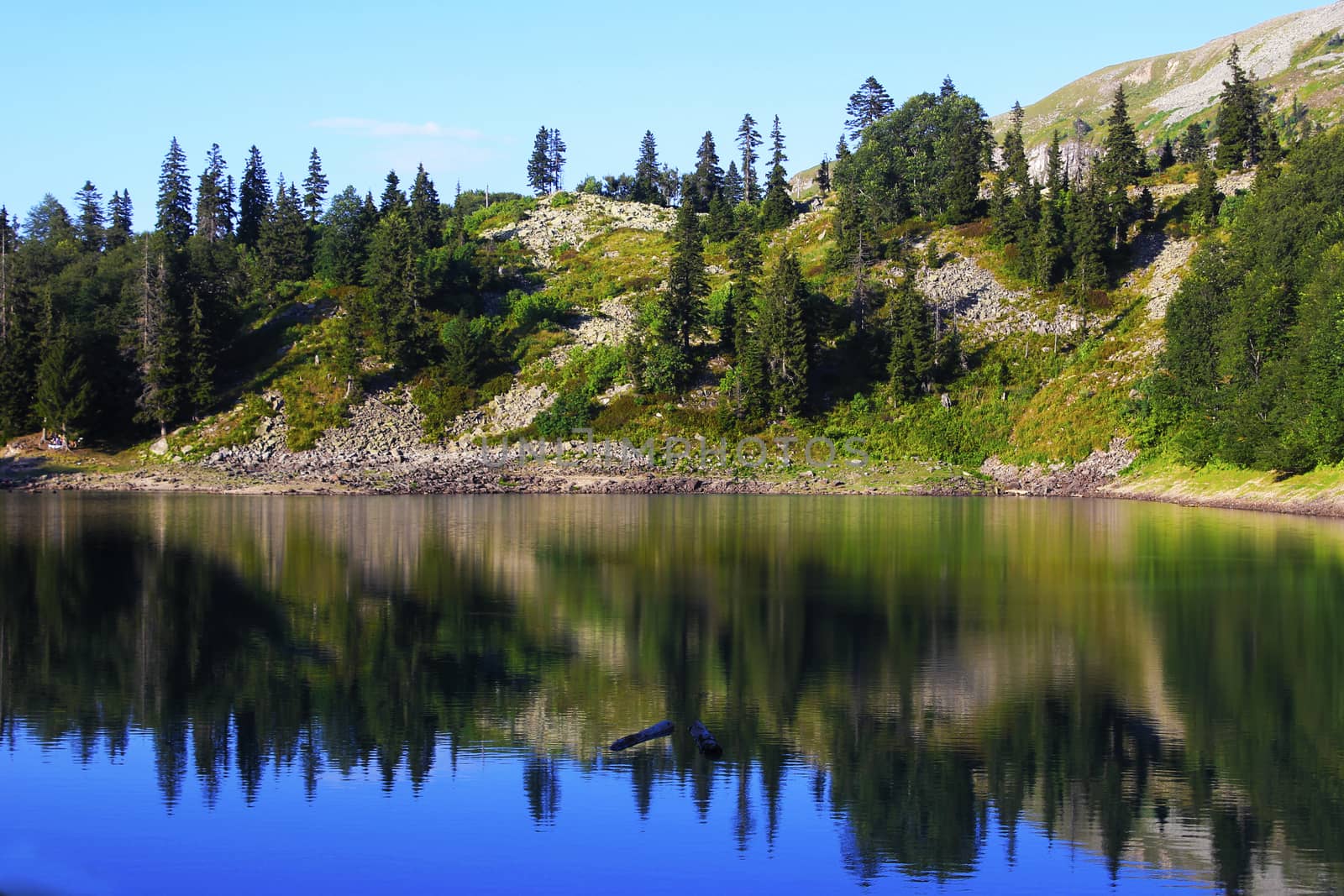 Mountain lake in Georgia, Green lake. by Taidundua