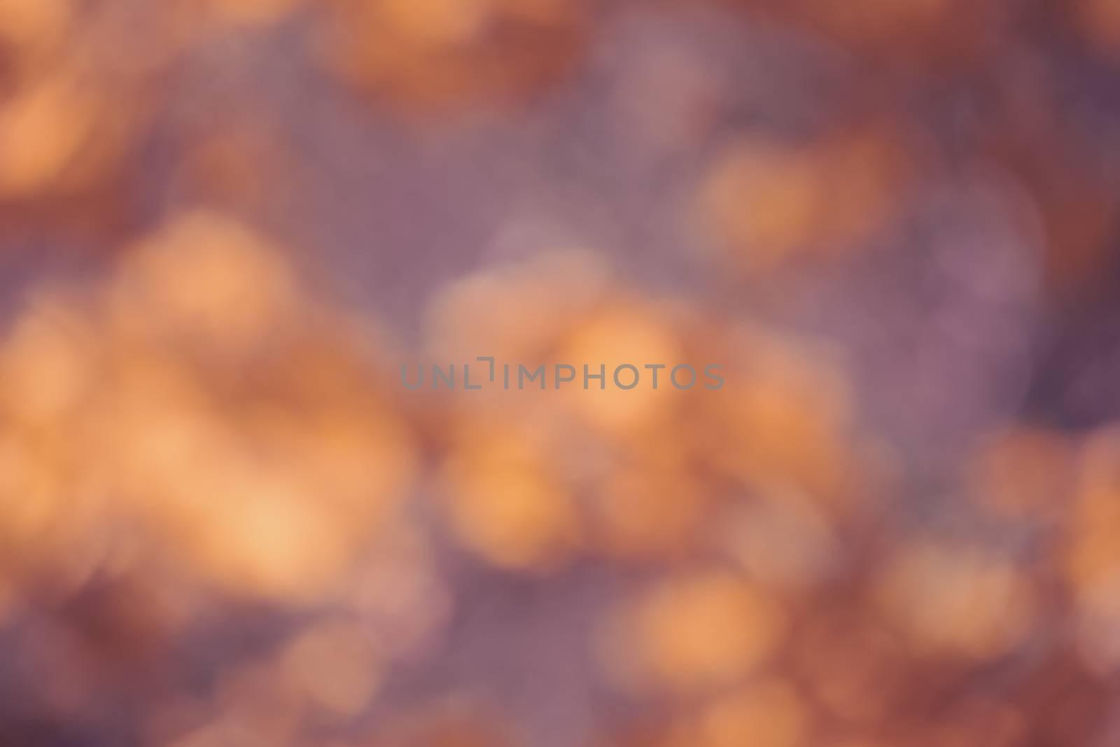 autumnal natural bokeh background or backdrop, fall autumn season graphic object