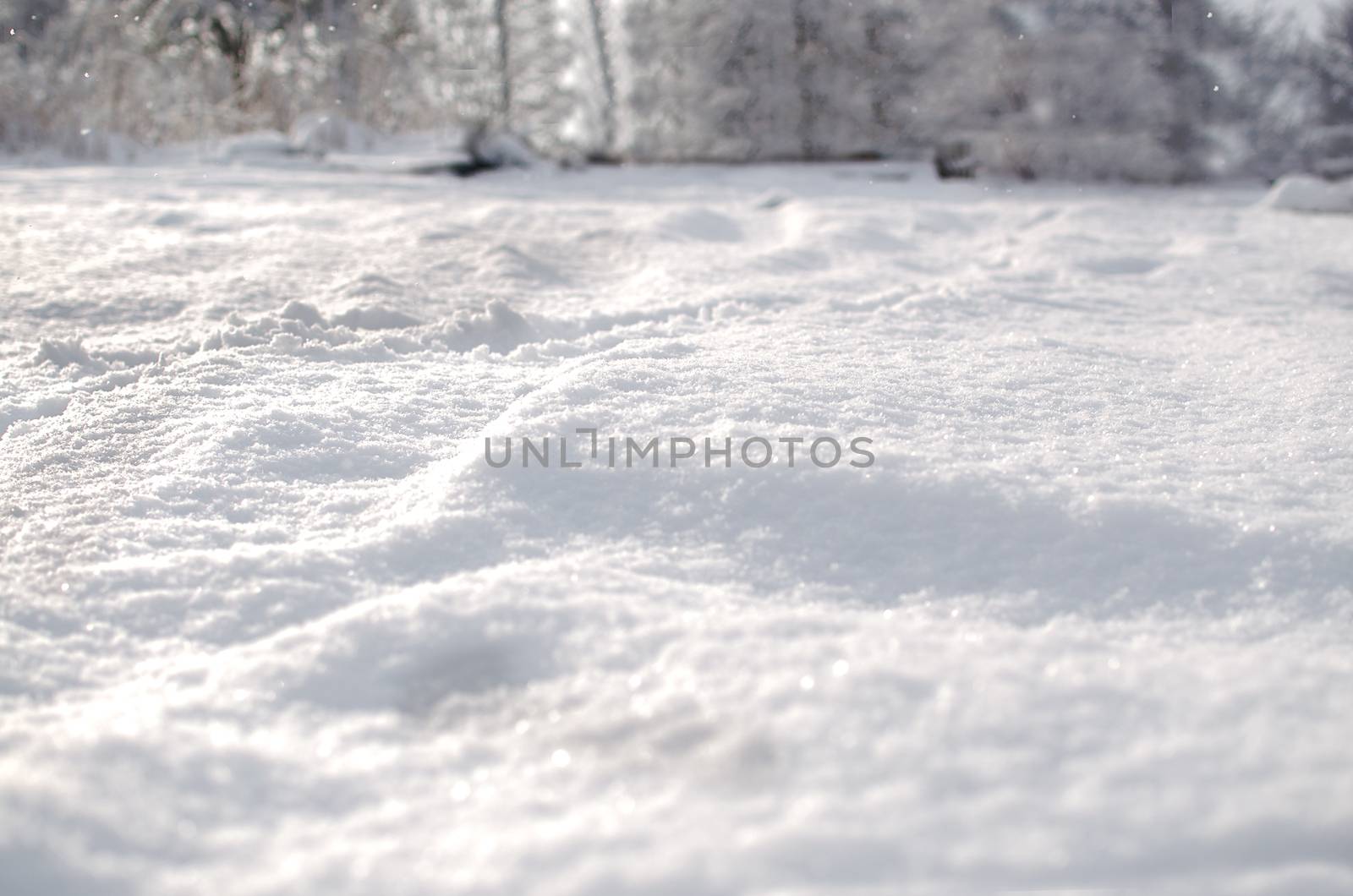 Fresh snow cover scenery. Snow dunes in winter time landscape. New snowfall. Empty winter season background landscape. Stock photo