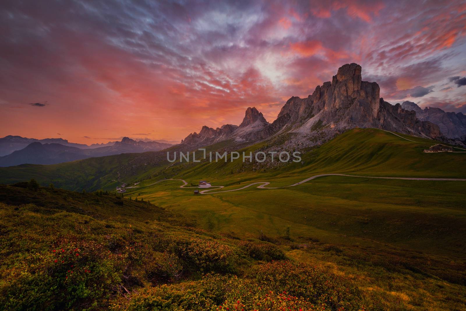 sunset in summer on Passo di Giau with flowers on foreground, Dolomites, Italy by zhu_zhu