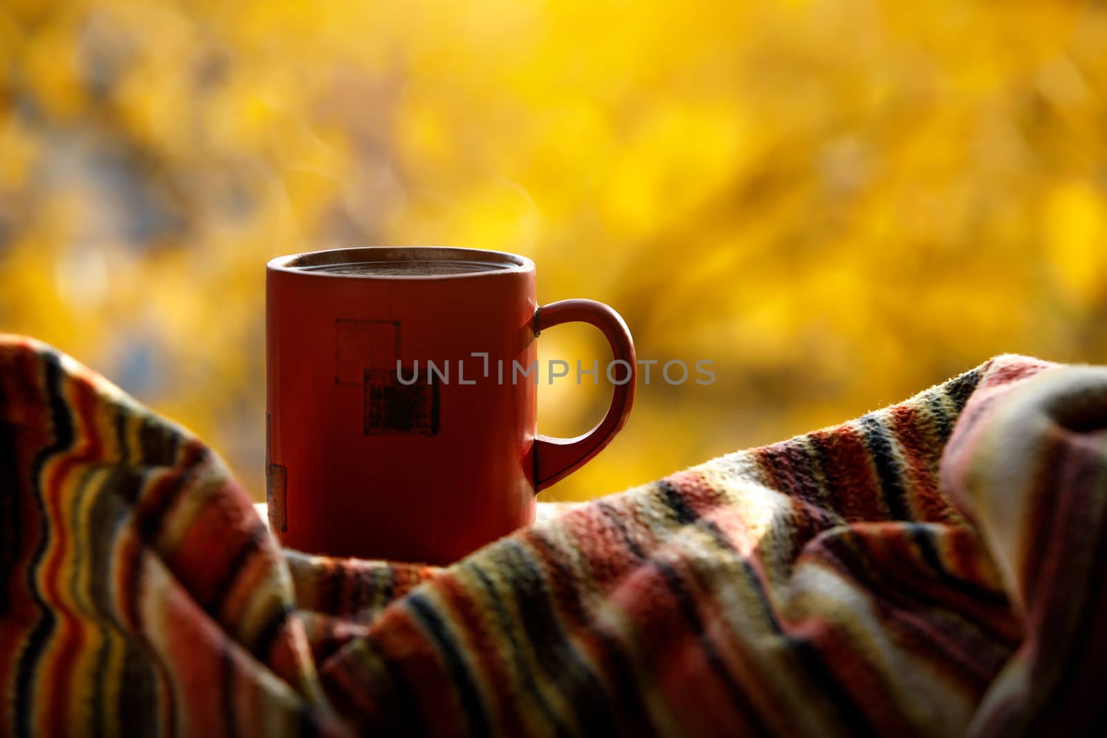 A cup of warm tea. Autumn comfort