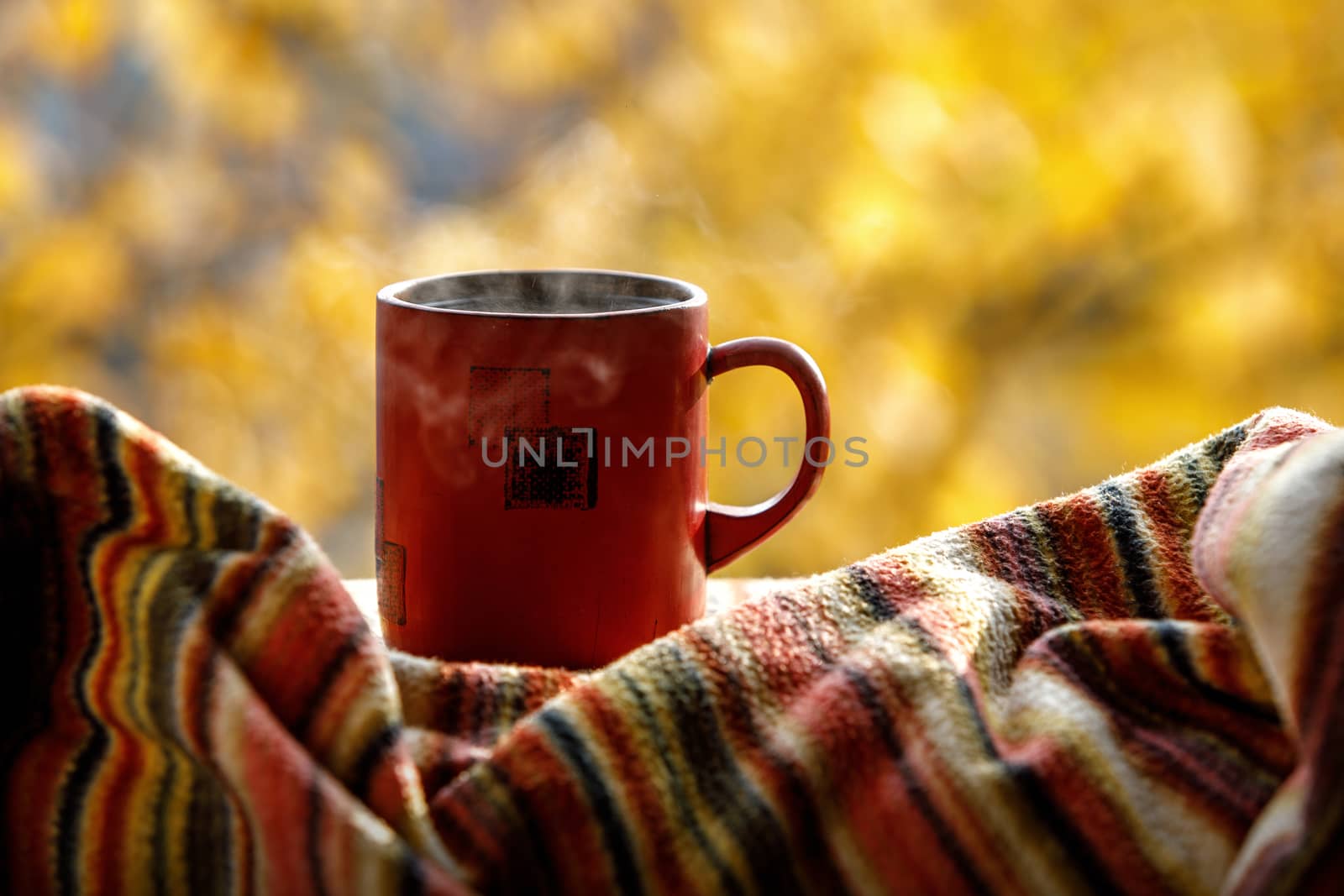 Red coffee cup over autumn background. by 9parusnikov