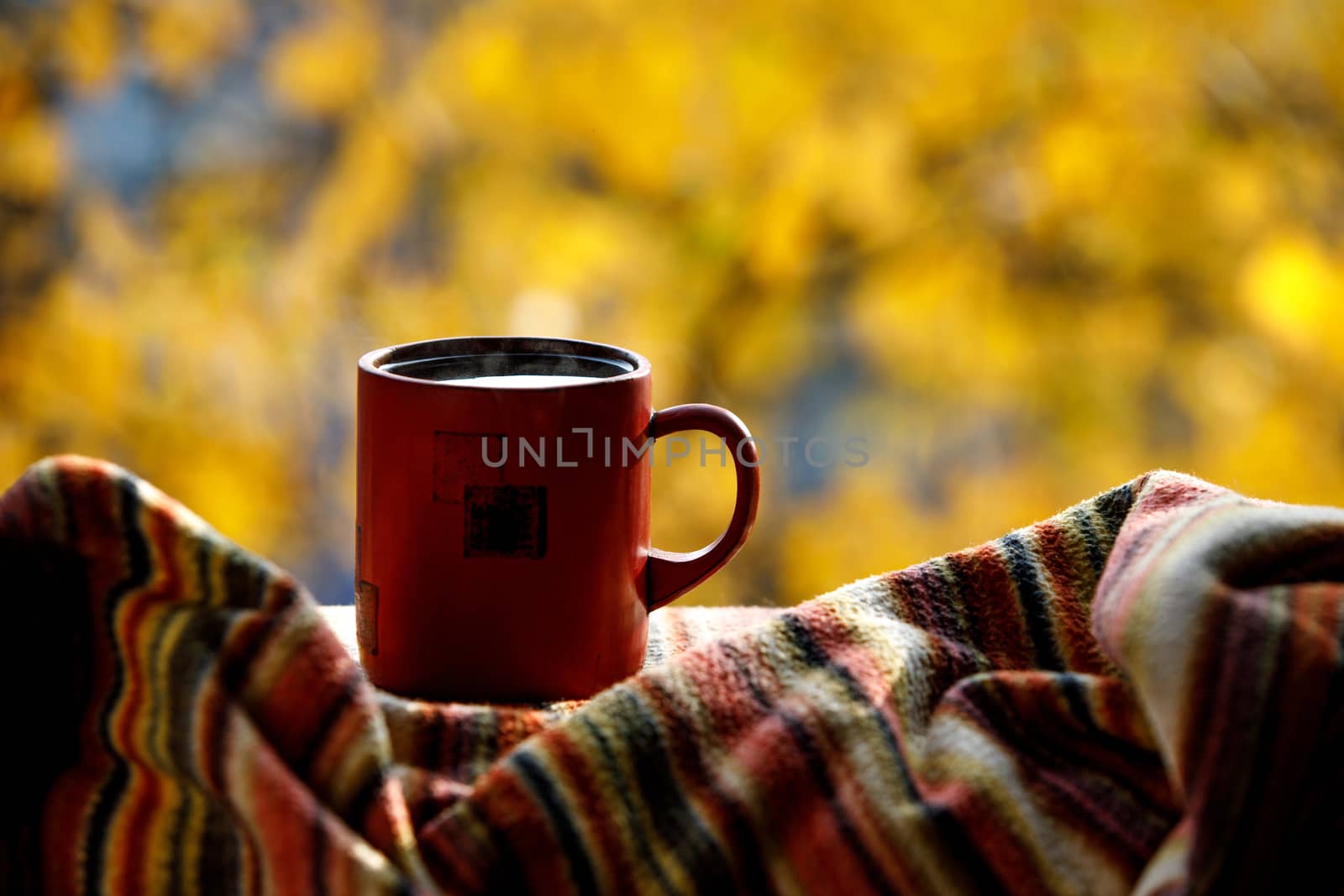 Red coffee cup over autumn background. by 9parusnikov