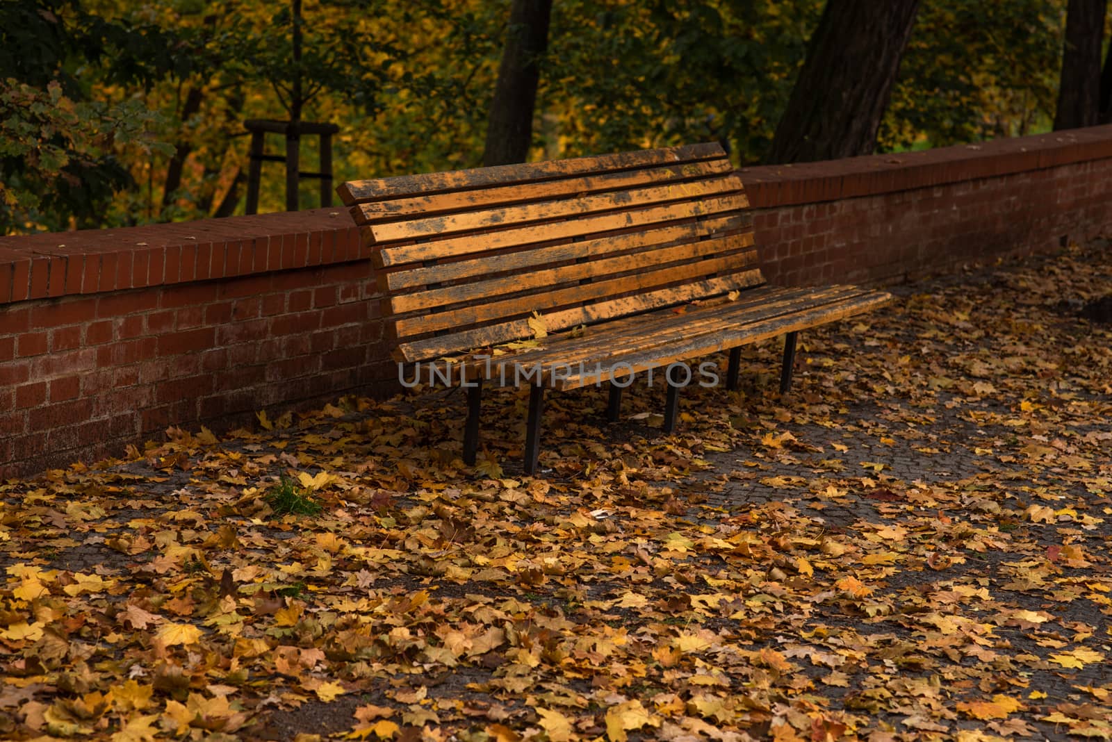 Empty bench on a park in Prague 6 by gonzalobell