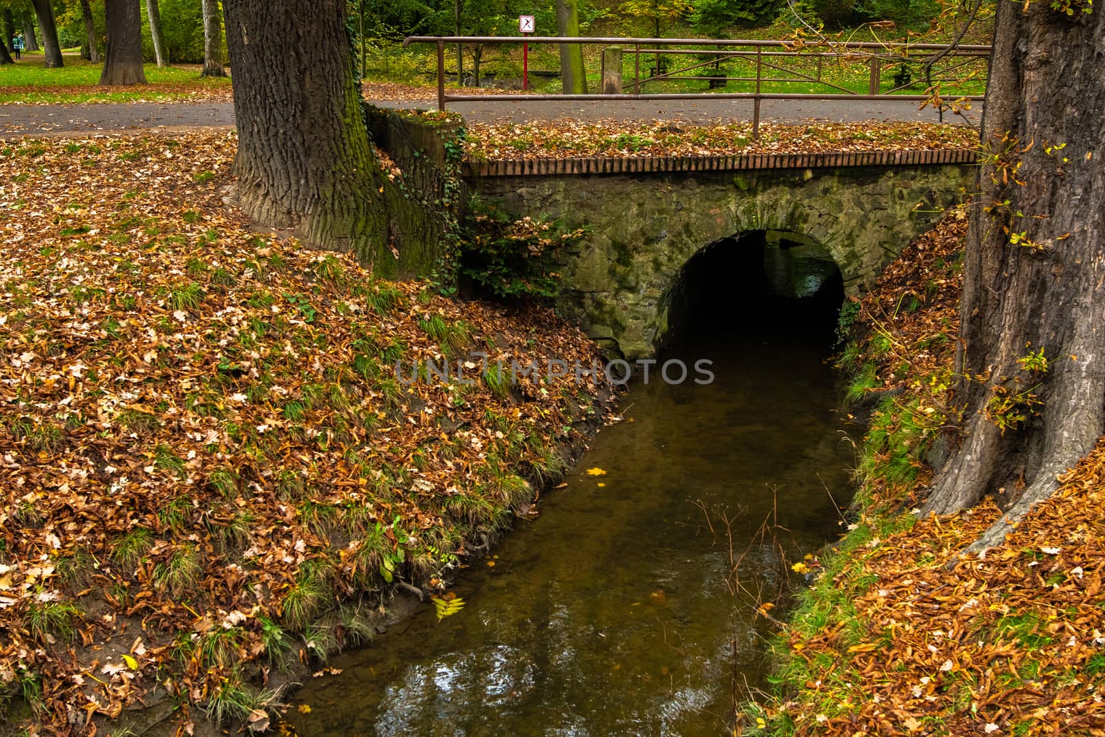 Stream of water crossing under a bridge in the Park by gonzalobell