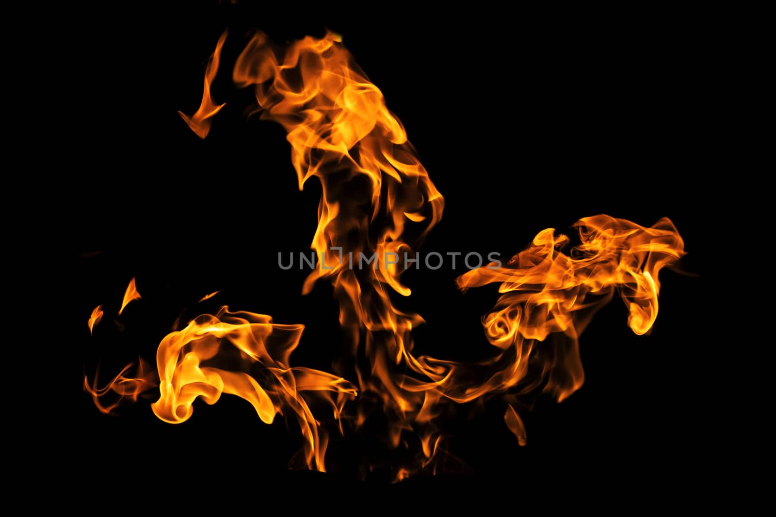 Fire flames on black background isolated. Burning gas or gasolin by YevgeniySam