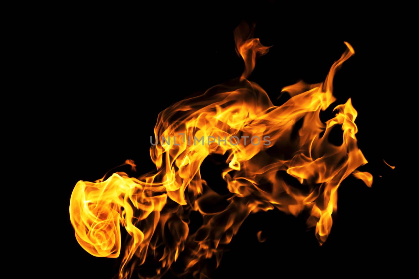 Fire flames on black background isolated. Burning gas or gasolin by YevgeniySam