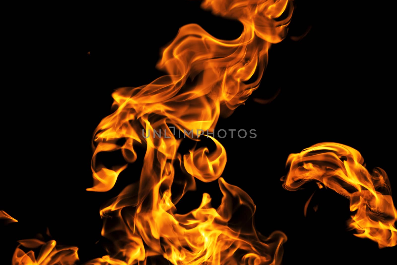 Fire flames on black background isolated. Burning gas or gasolin by YevgeniySam