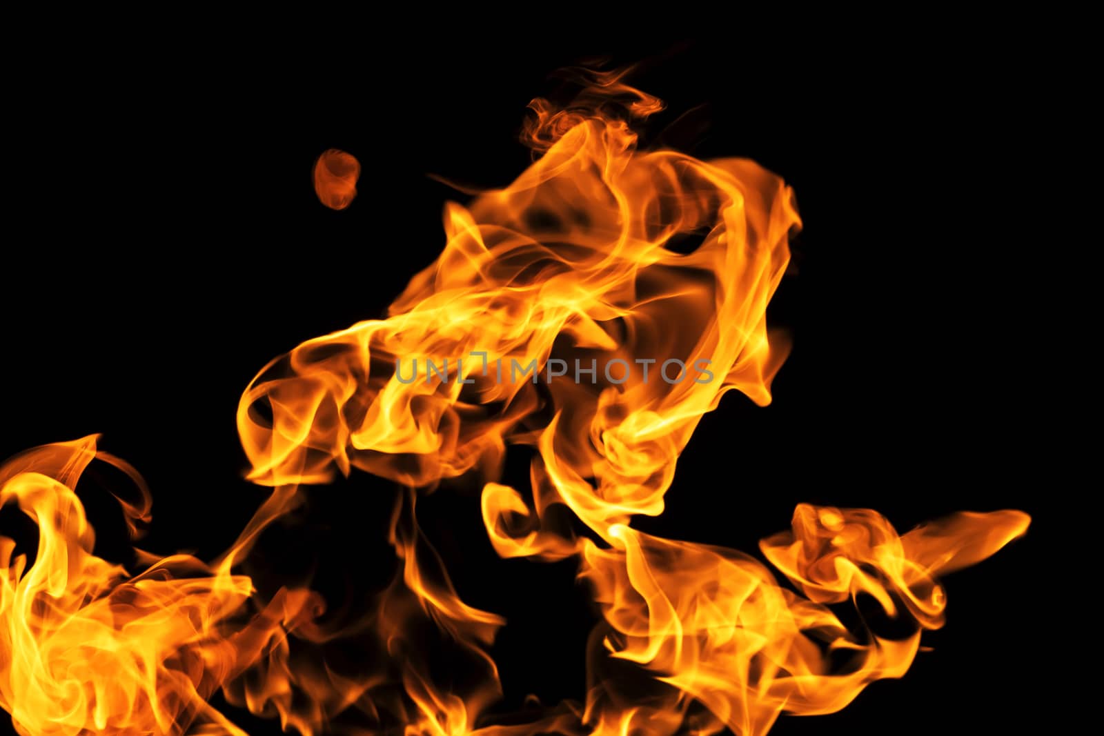 Fire flames on black background isolated. Burning gas or gasoline burns with fire and flames. Flaming burning sparks close-up, fire patterns. Infernal glow of fire in the dark with copy-space