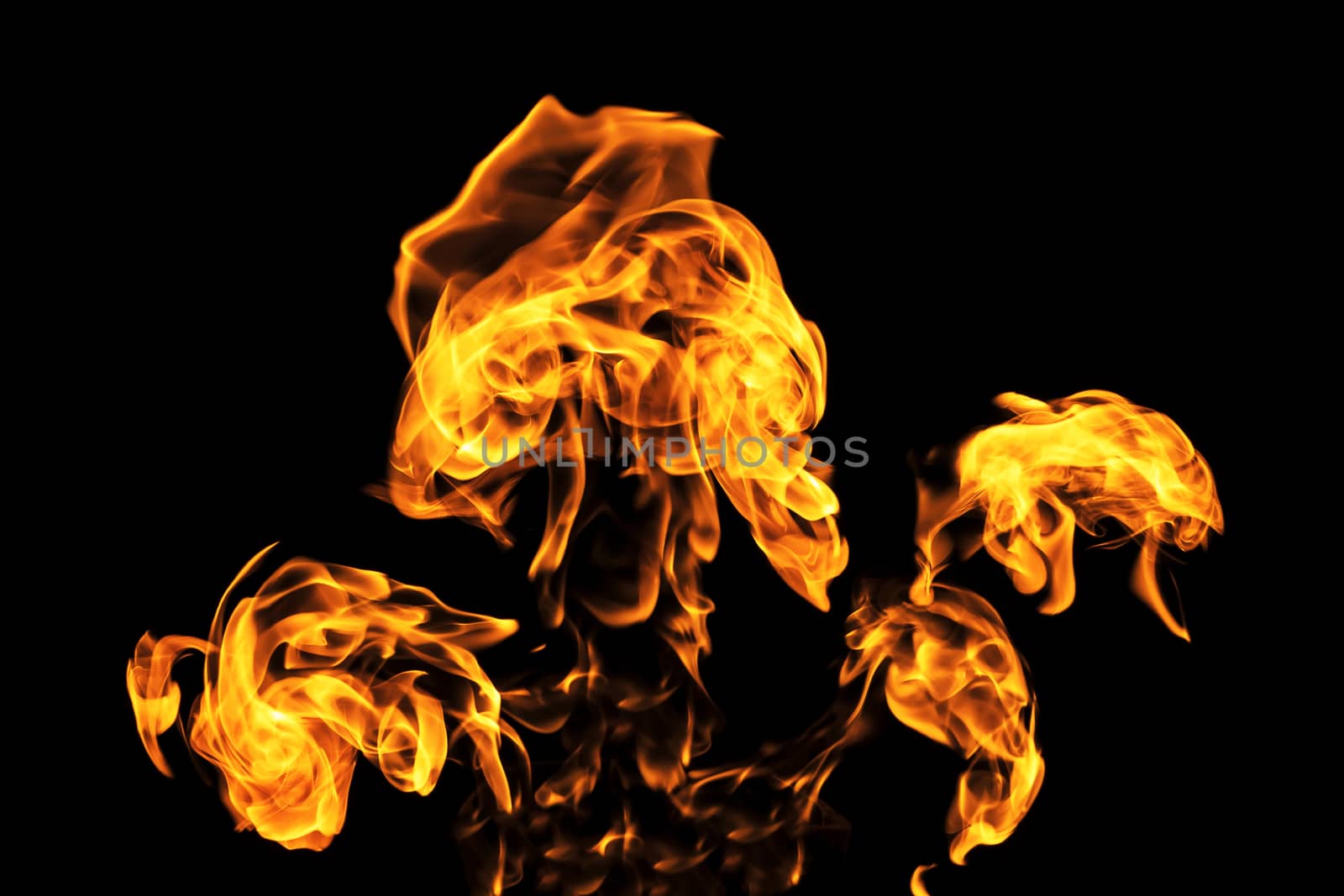 Fire flames on black background isolated. Burning gas or gasoline burns with fire and flames. Flaming burning sparks close-up, fire patterns. Infernal glow of fire in the dark with copy-space