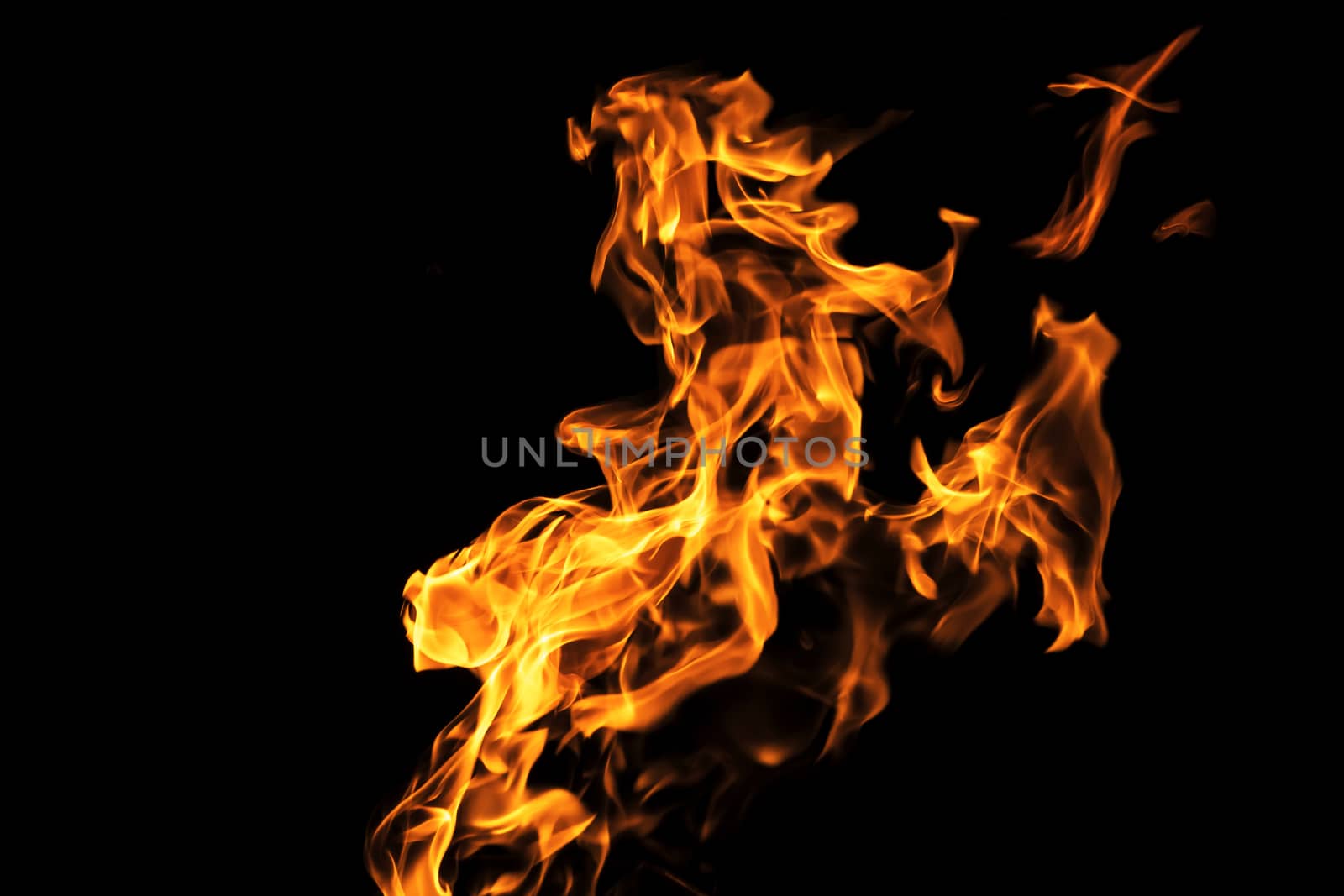 Fire flames on black background isolated. Burning gas or gasoline burns with fire and flames. Flaming burning sparks close-up, fire patterns. Infernal glow of fire in the dark with copy-space