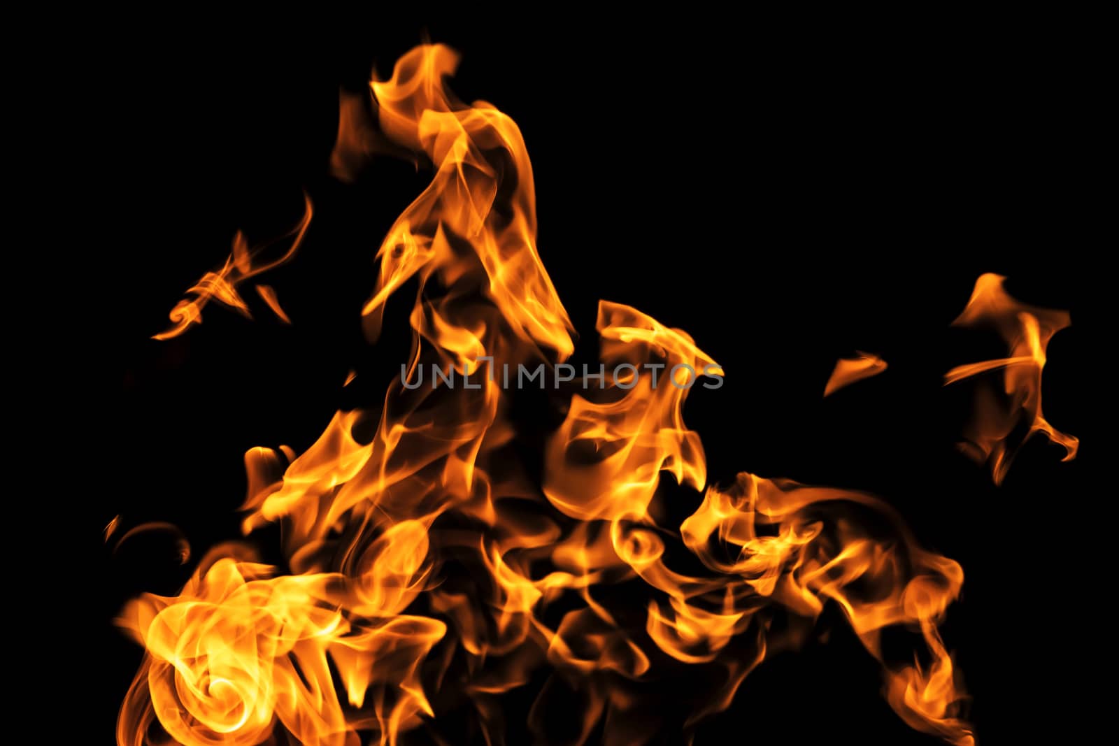 Fire flames on black background isolated. Burning gas or gasoline burns with fire and flames. Flaming burning sparks close-up, fire patterns. Infernal glow of fire in the dark with copy-space