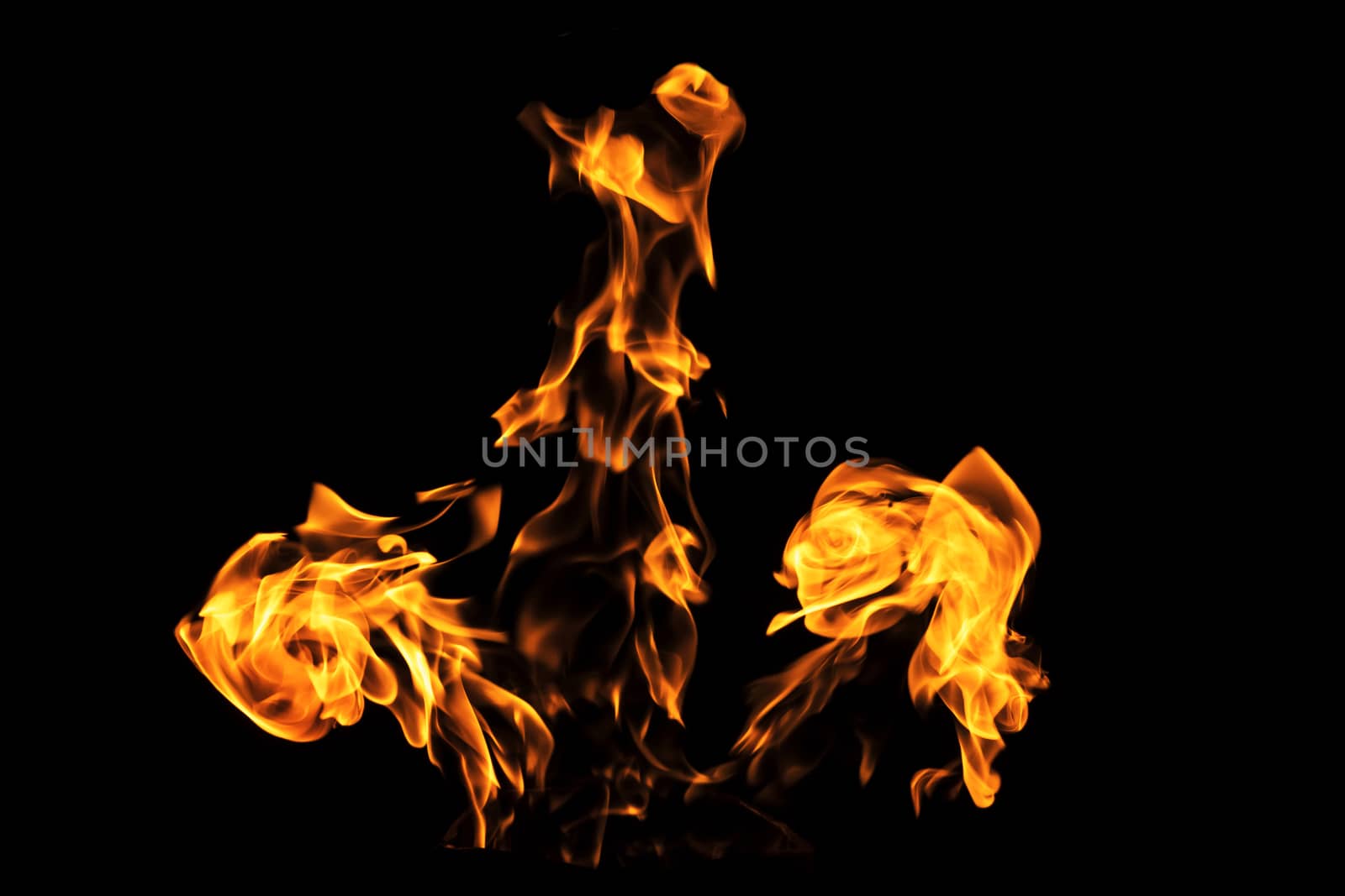 Fire flames on black background isolated. Burning gas or gasolin by YevgeniySam