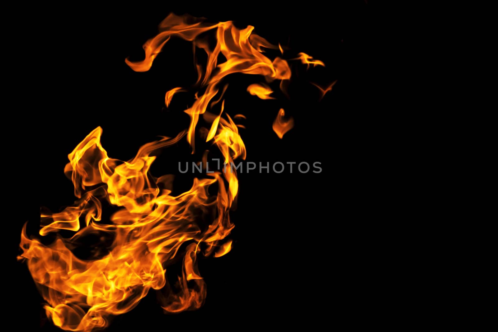 Fire flames on black background isolated. Burning gas or gasoline burns with fire and flames. Flaming burning sparks close-up, fire patterns. Infernal glow of fire in the dark with copy-space