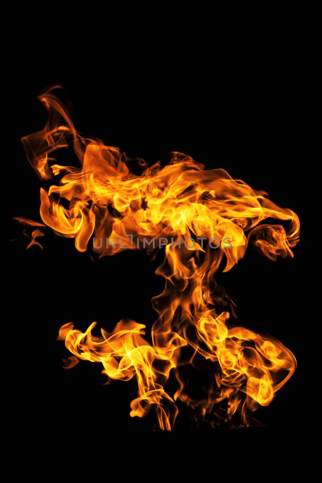 Fire flames on black background isolated. Burning gas or gasolin by YevgeniySam