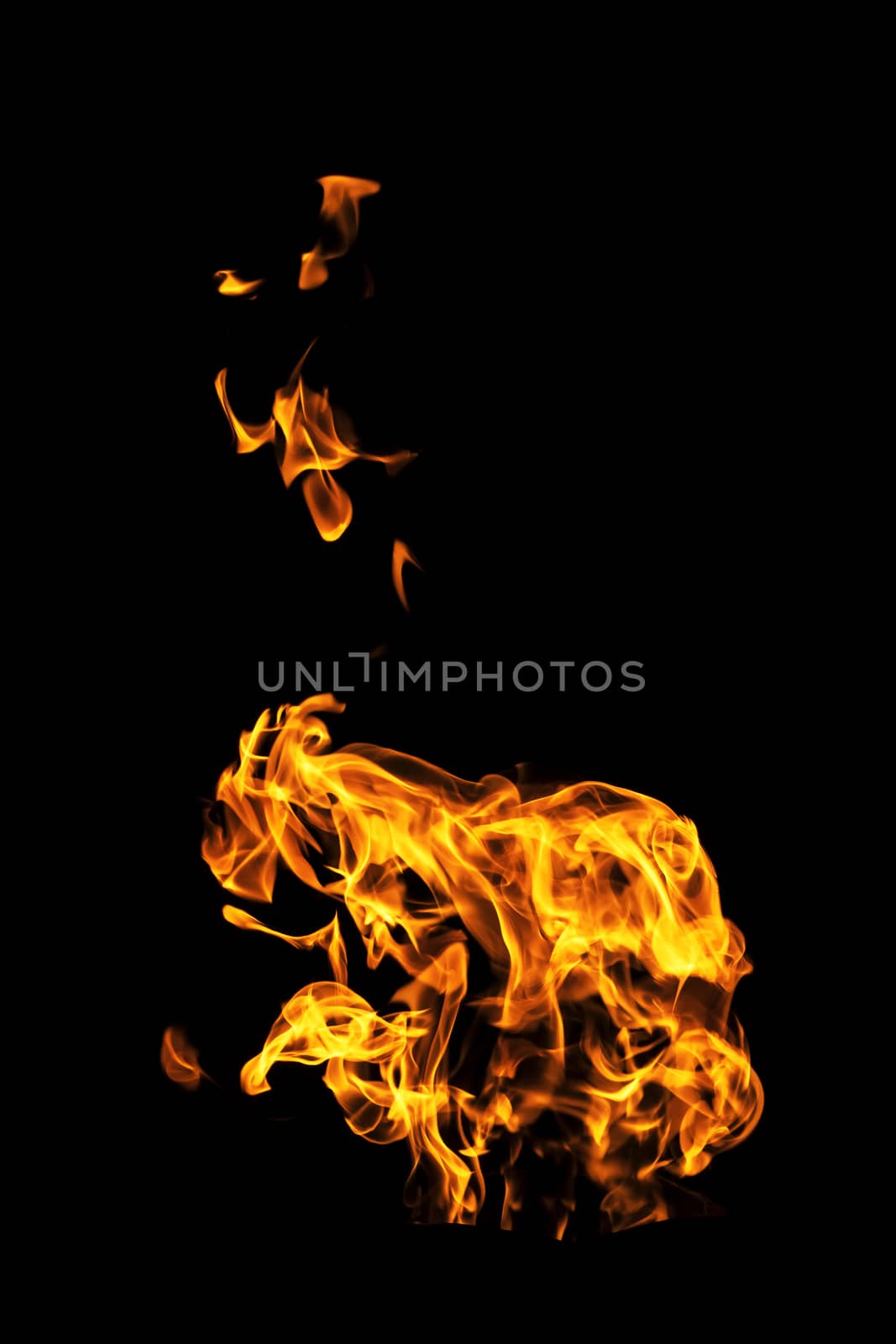 Fire flames on black background isolated. Burning gas or gasolin by YevgeniySam