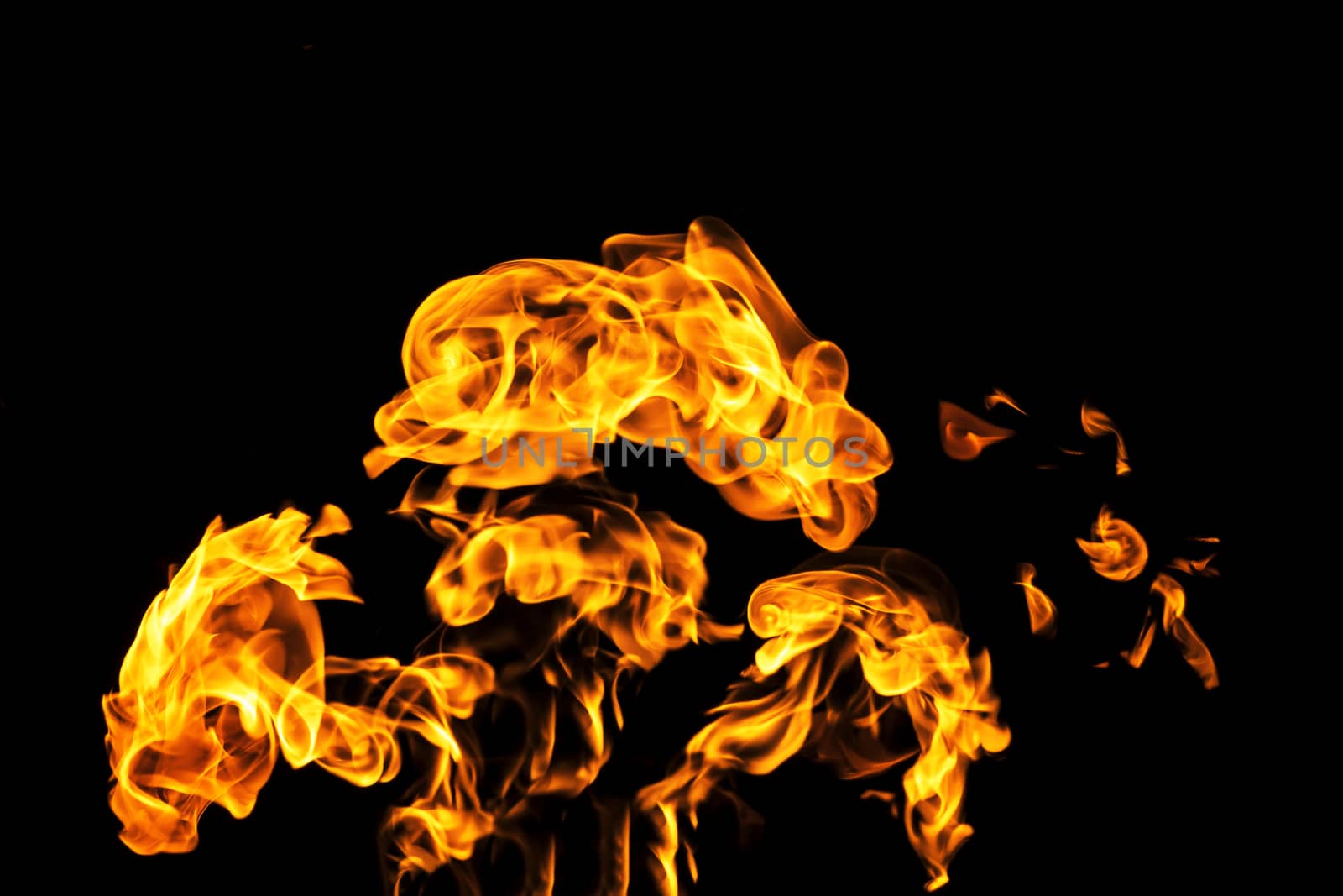 Fire flames on black background isolated. Burning gas or gasolin by YevgeniySam