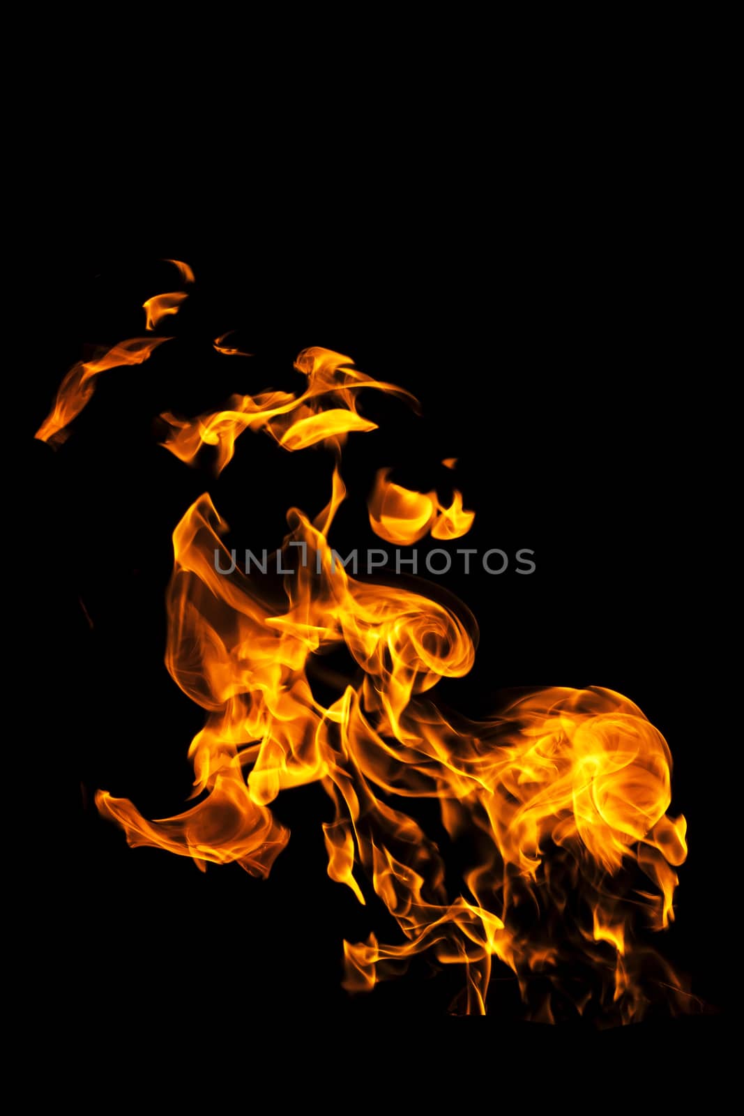 Fire flames on black background isolated. Burning gas or gasoline burns with fire and flames. Flaming burning sparks close-up, fire patterns. Infernal glow of fire in the dark with copy-space