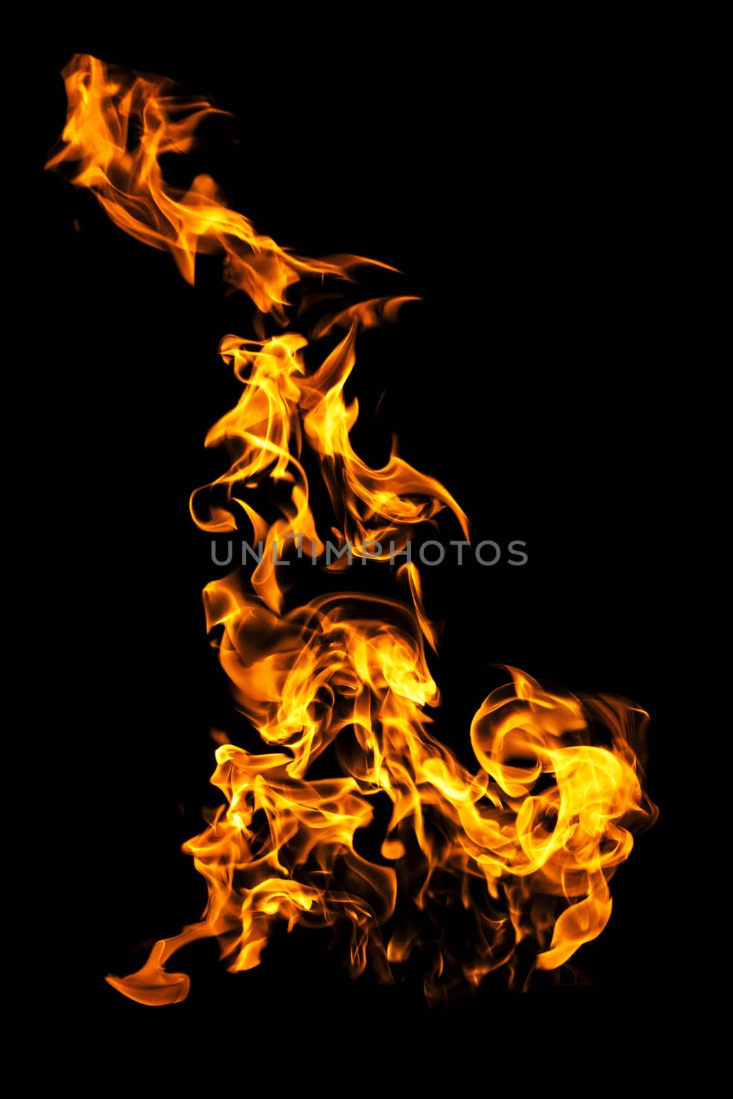 Fire flames on black background isolated. Burning gas or gasoline burns with fire and flames. Flaming burning sparks close-up, fire patterns. Infernal glow of fire in the dark with copy-space