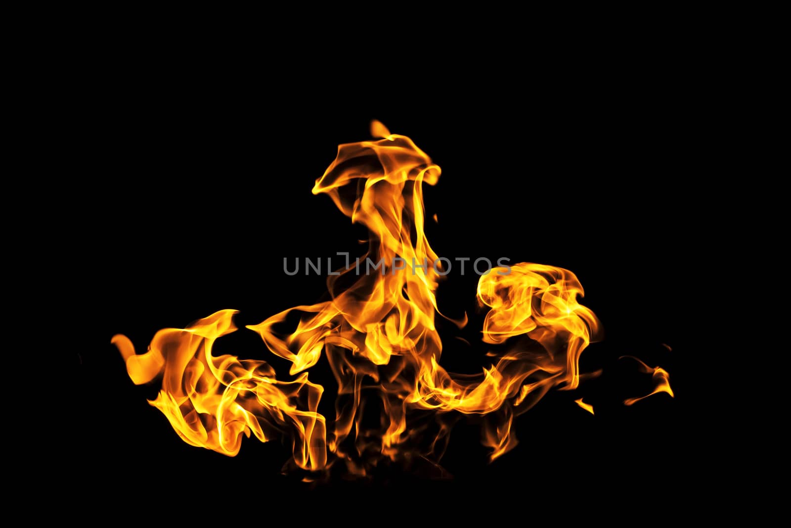 Fire flames on black background isolated. Burning gas or gasolin by YevgeniySam