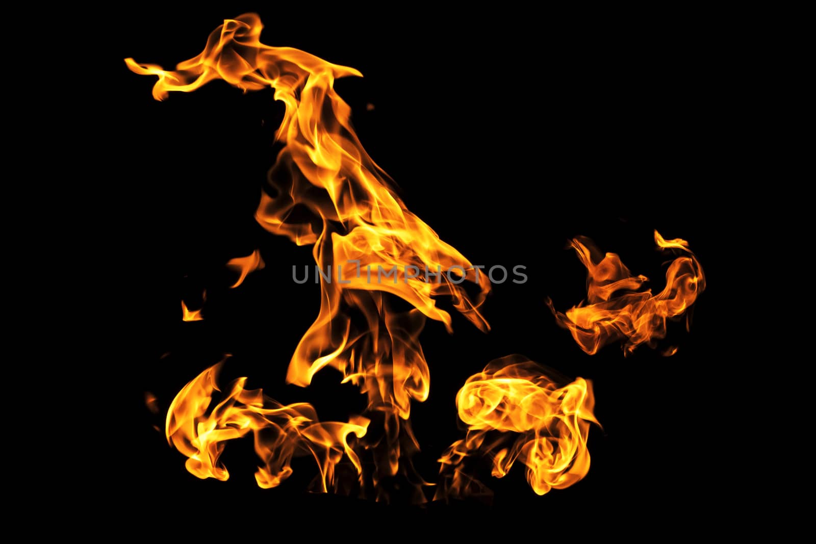 Fire flames on black background isolated. Burning gas or gasolin by YevgeniySam