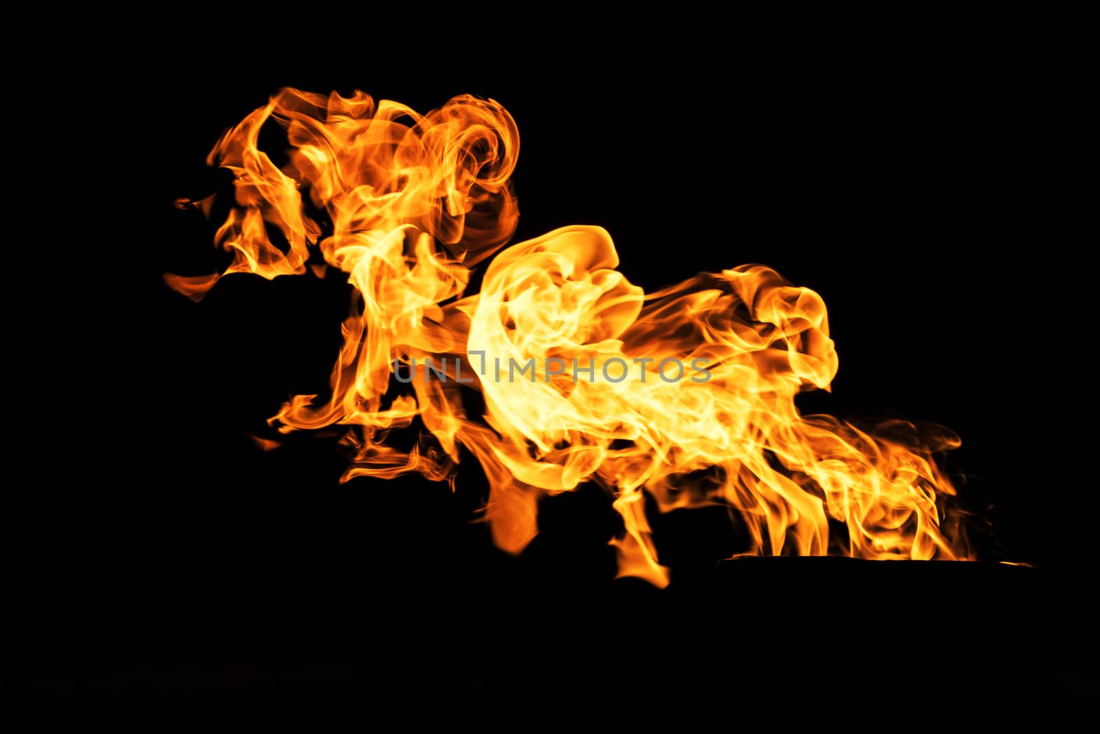 Fire flames on black background isolated. Burning gas or gasolin by YevgeniySam