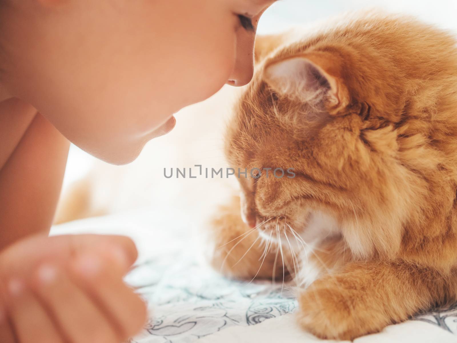 Cute ginger cat and child snuggle. Kid and fluffy pet. Faces of little boy and fuzzy domestic animal. Morning bedtime.