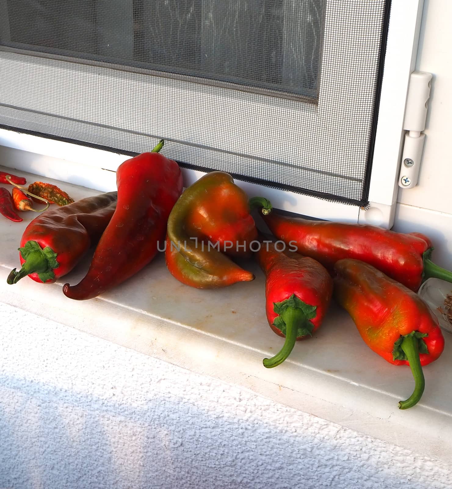 Big red peppers left to ripen in front of the windowsill,