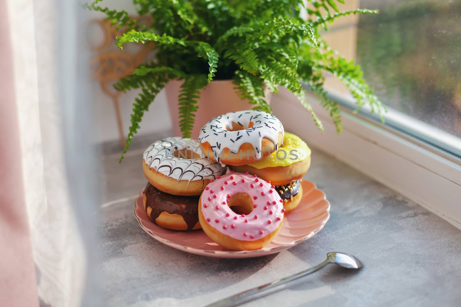 Sweet and fresh colored different donuts with chocolate frosted, glazed and sprinkles, icing topping on pink plate on concrete background.