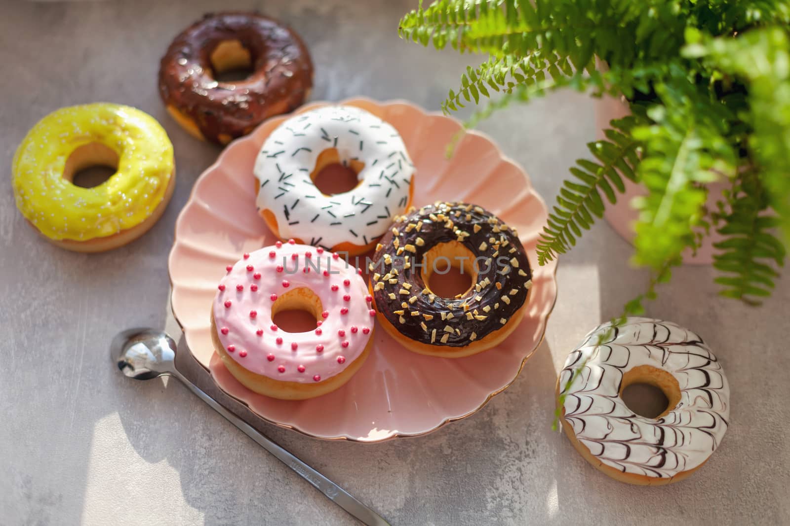 Sweet and fresh colored different donuts with chocolate frosted, glazed and sprinkles, icing topping on pink plate on concrete background.