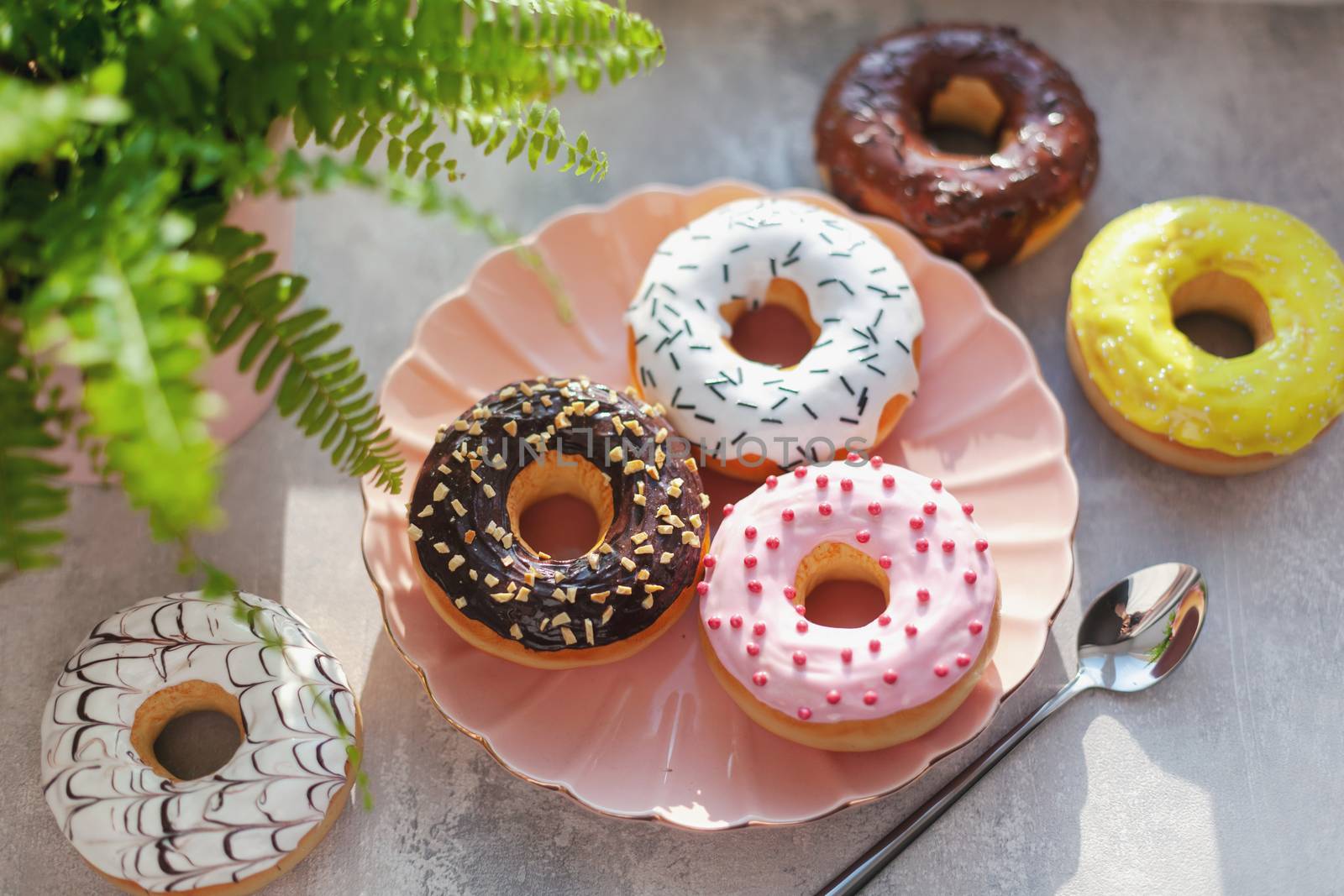 Sweet and fresh colored different donuts with chocolate frosted, glazed and sprinkles, icing topping on pink plate on concrete background.