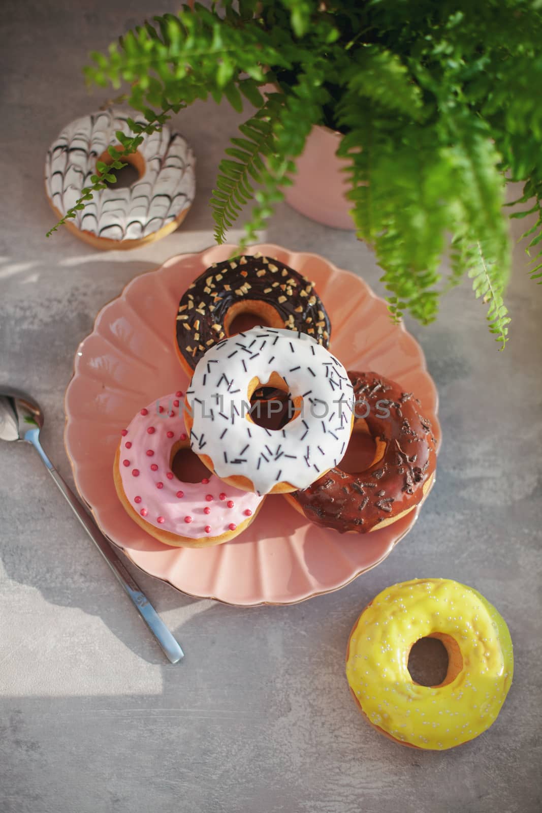 Sweet and fresh colored different donuts with chocolate frosted, glazed and sprinkles, icing topping on pink plate on concrete background.