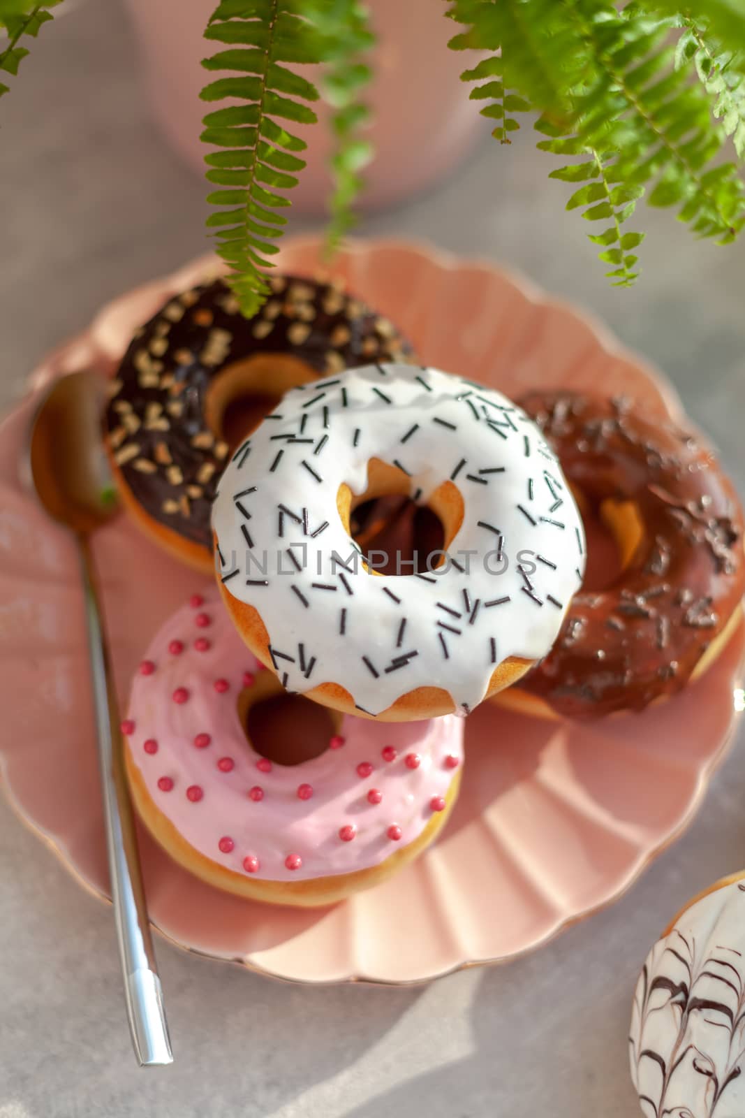 Sweet and fresh colored different donuts with chocolate frosted, glazed and sprinkles, icing topping on pink plate on concrete background.