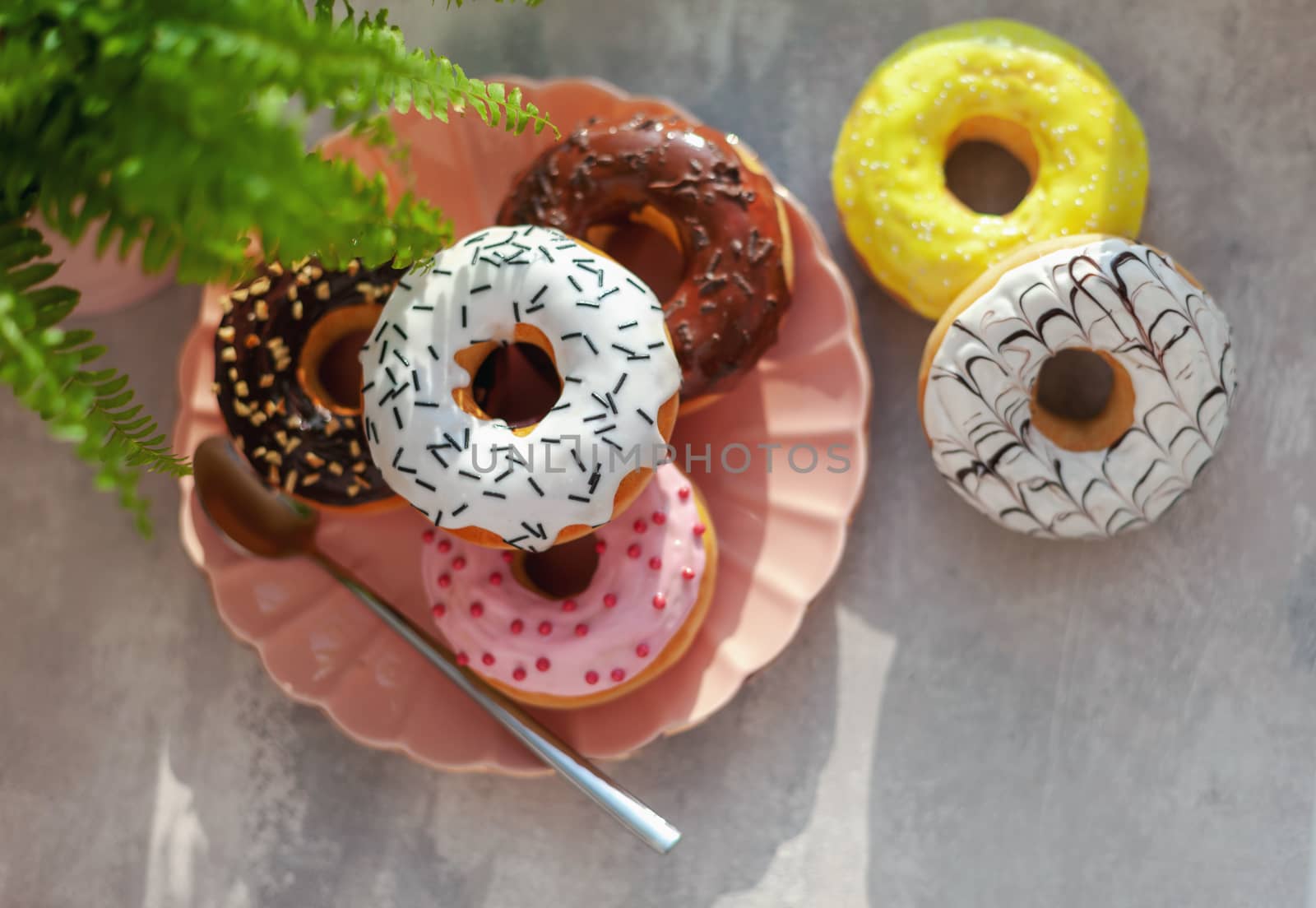 Sweet and fresh colored different donuts with chocolate frosted, glazed and sprinkles, icing topping on pink plate on concrete background.