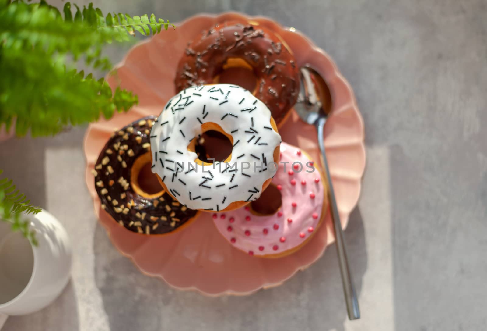 Sweet and fresh colored different donuts with chocolate frosted, glazed and sprinkles, icing topping on pink plate on concrete background.