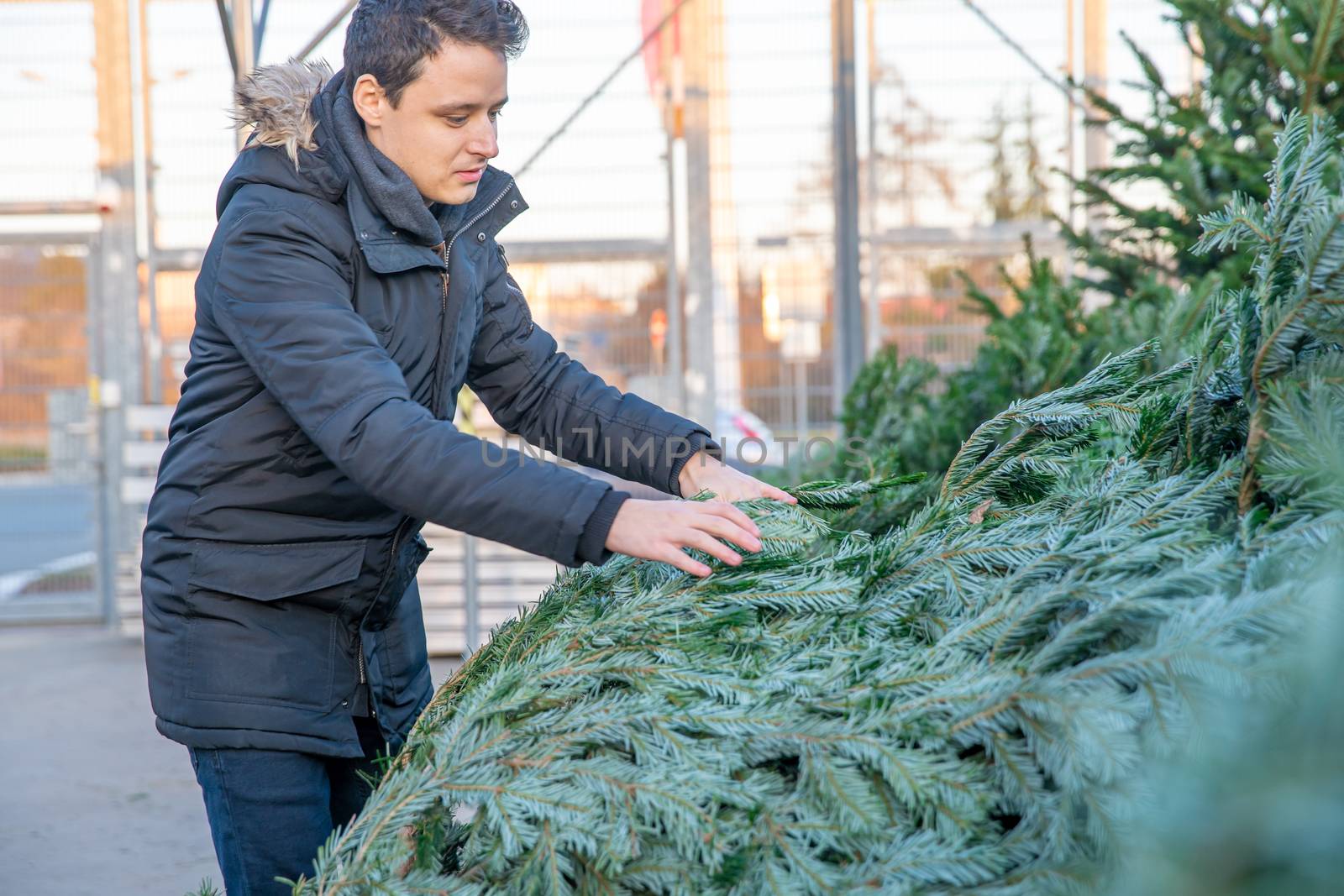young man chooses a Christmas tree on the market.