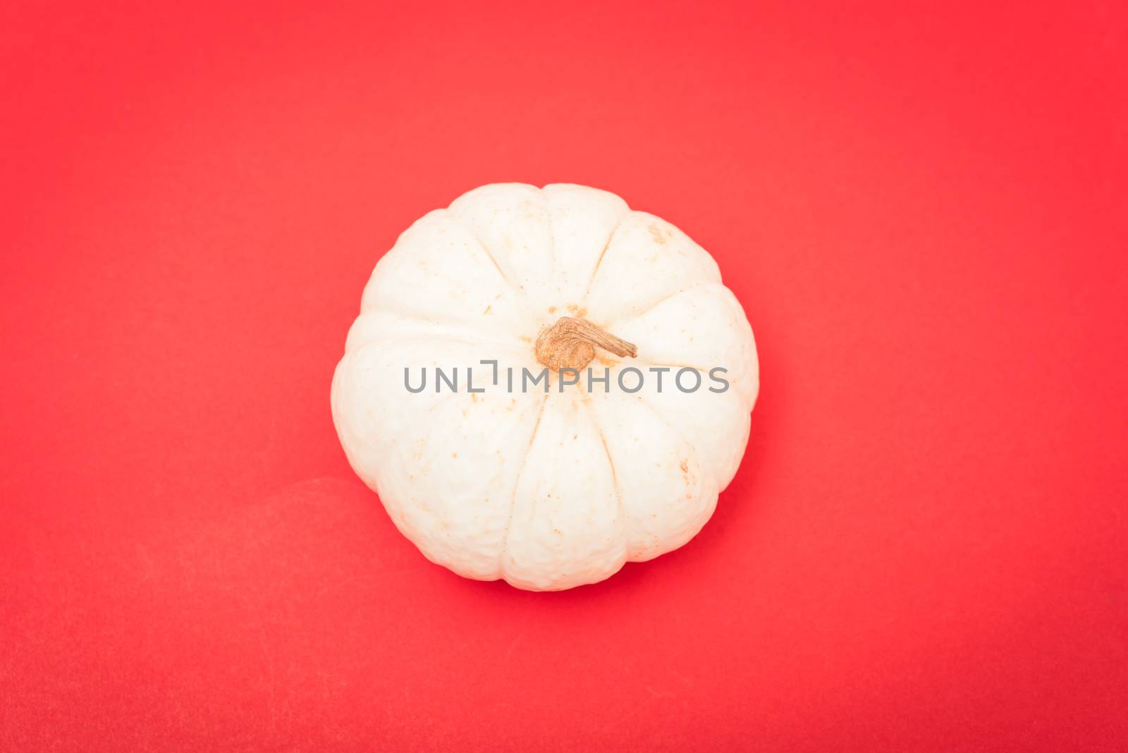 Halloween and Thanksgiving day pumpkins on red background