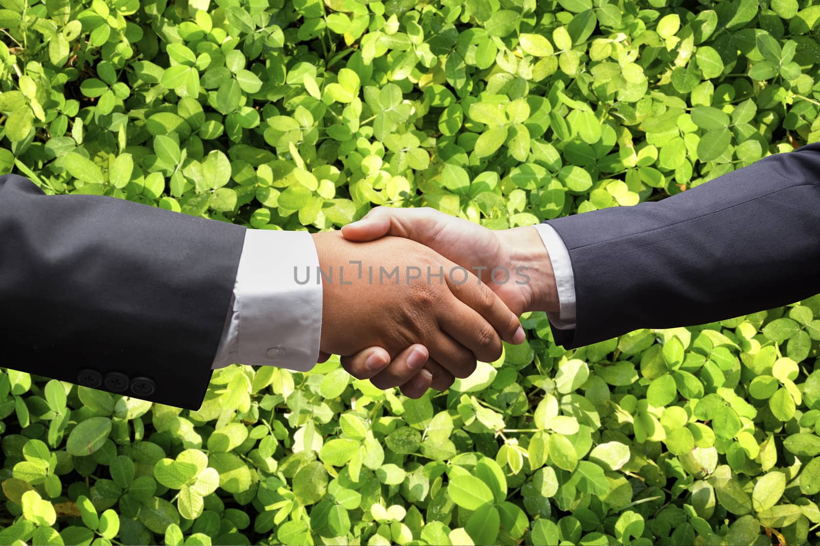 businessmen shaking hands on nature background by Surasak