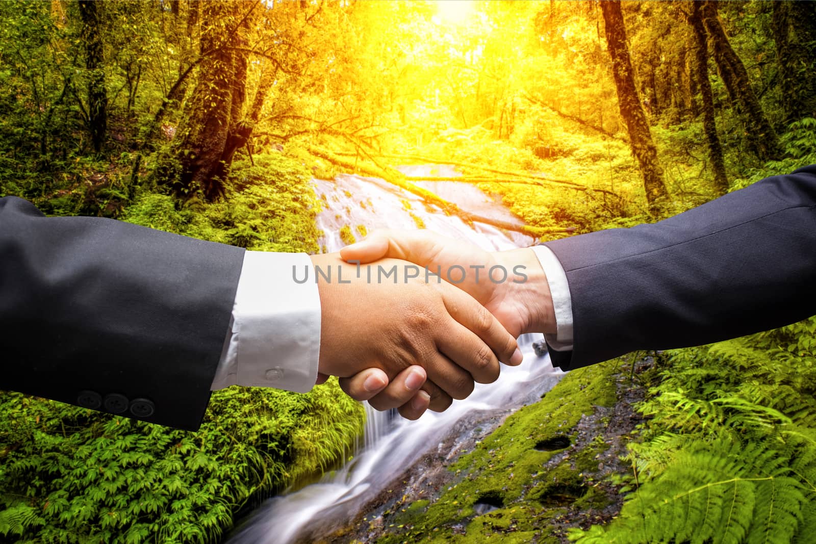 businessmen shaking hands on nature background