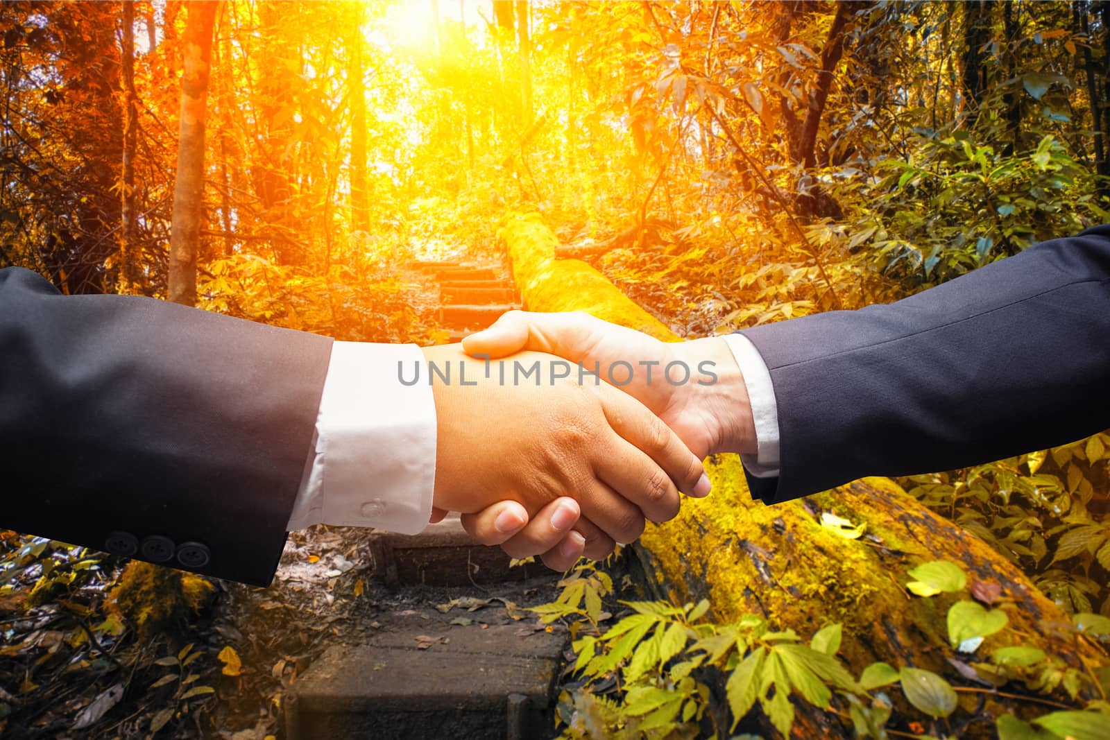 businessmen shaking hands on nature background