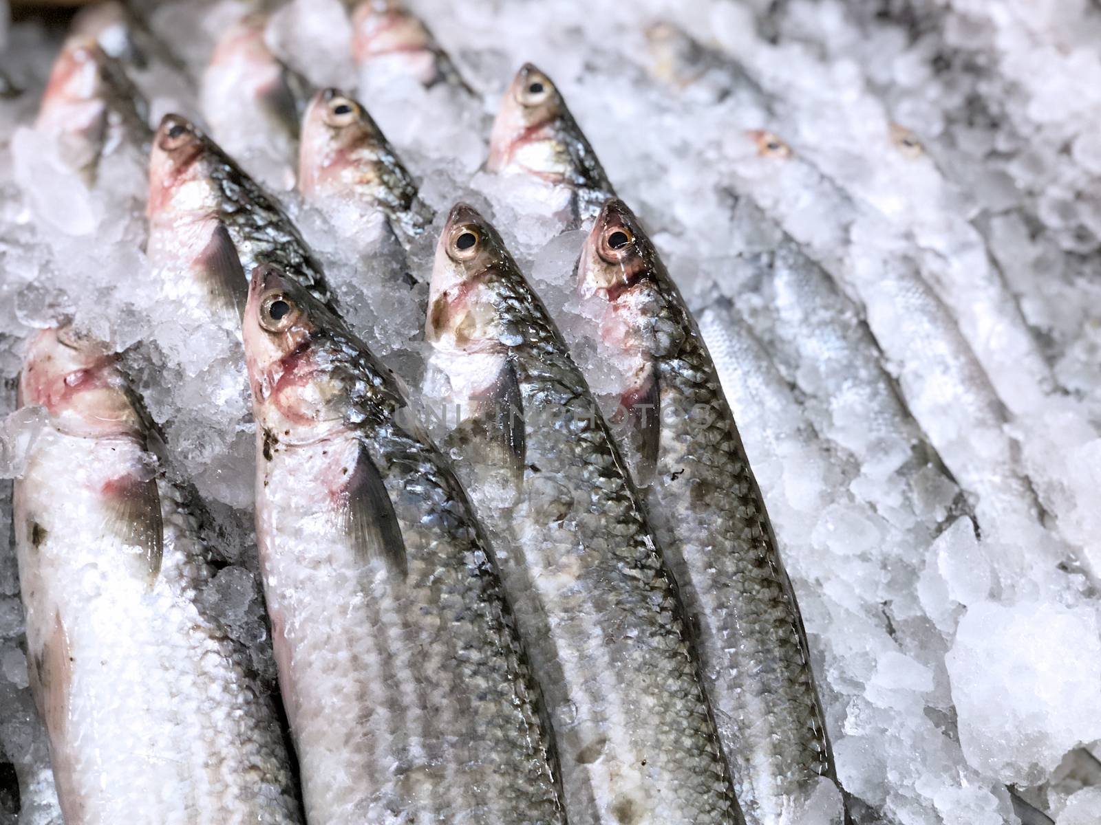 Fresh fish in street food Asian market by Surasak