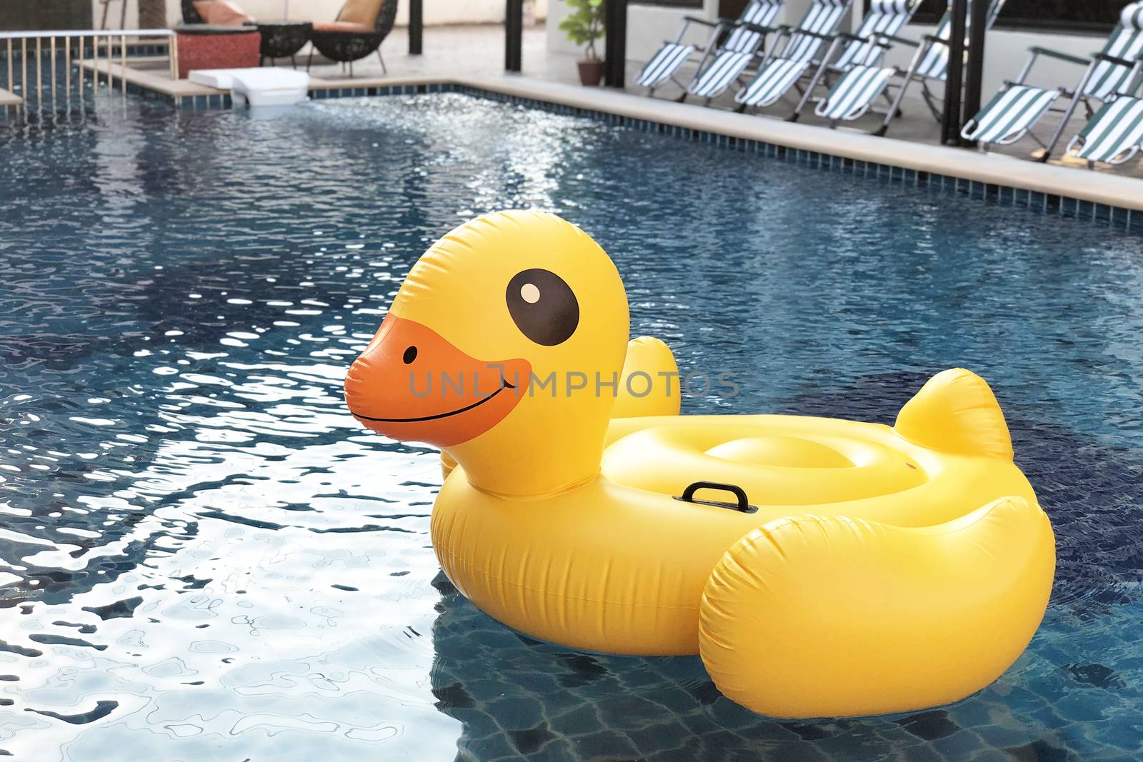 Big Plastic Yellow Duck on a Pool