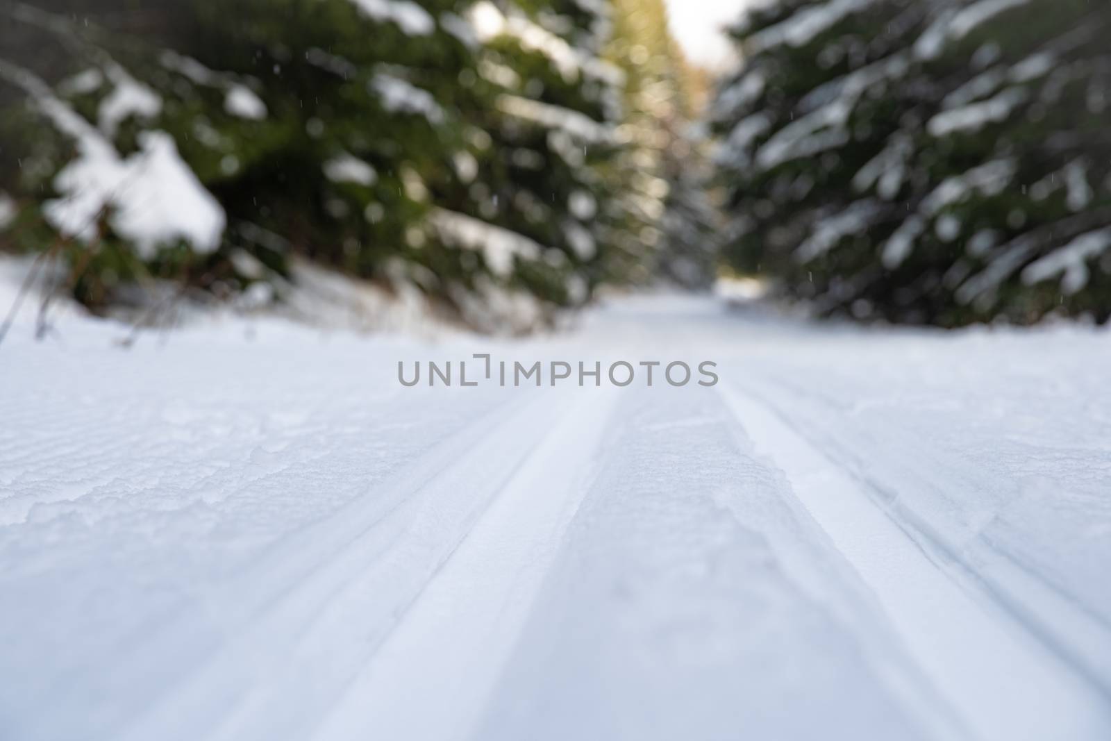 Footprints in the snow for cross-country skiing.