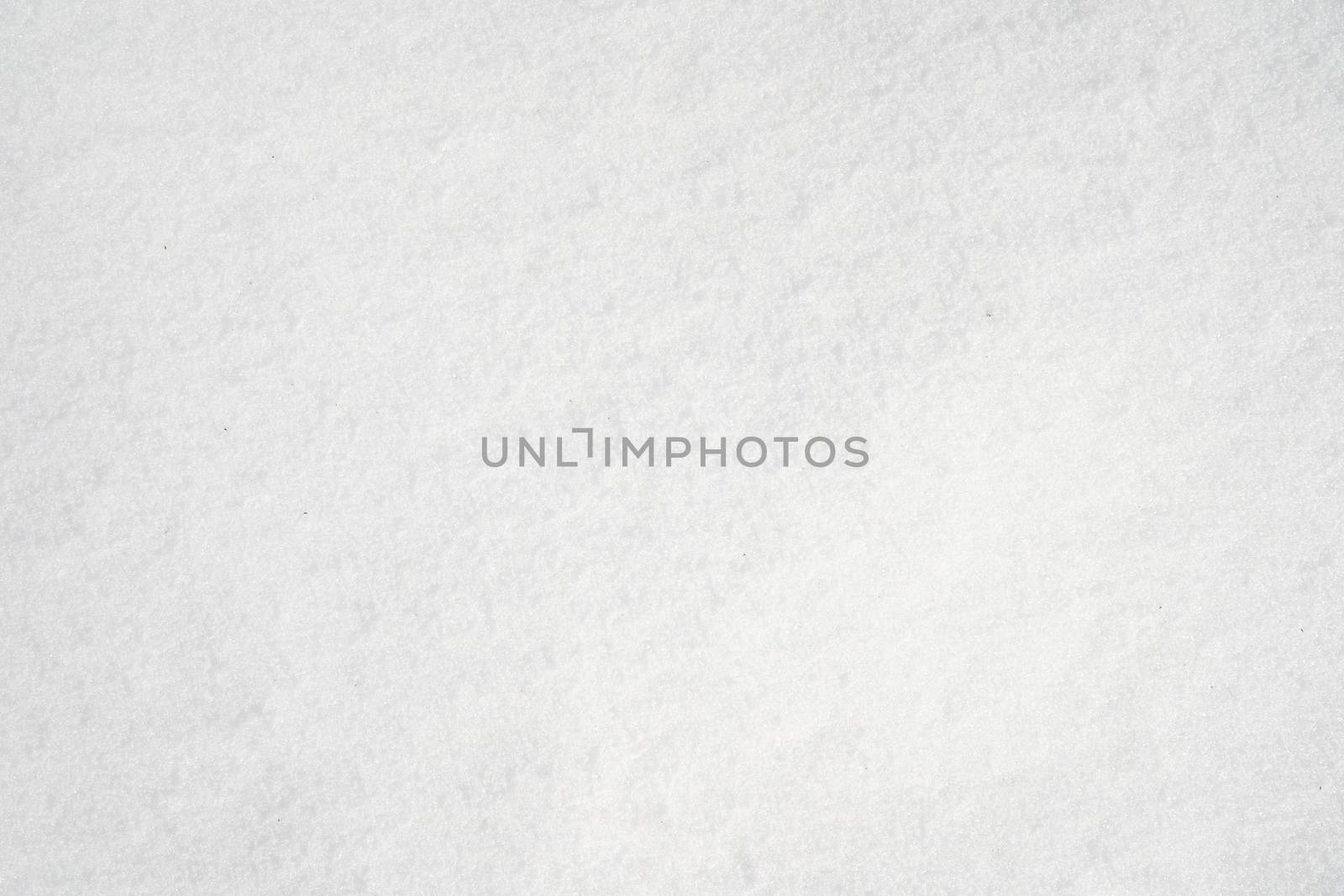 structure of white frozen snow in winter.