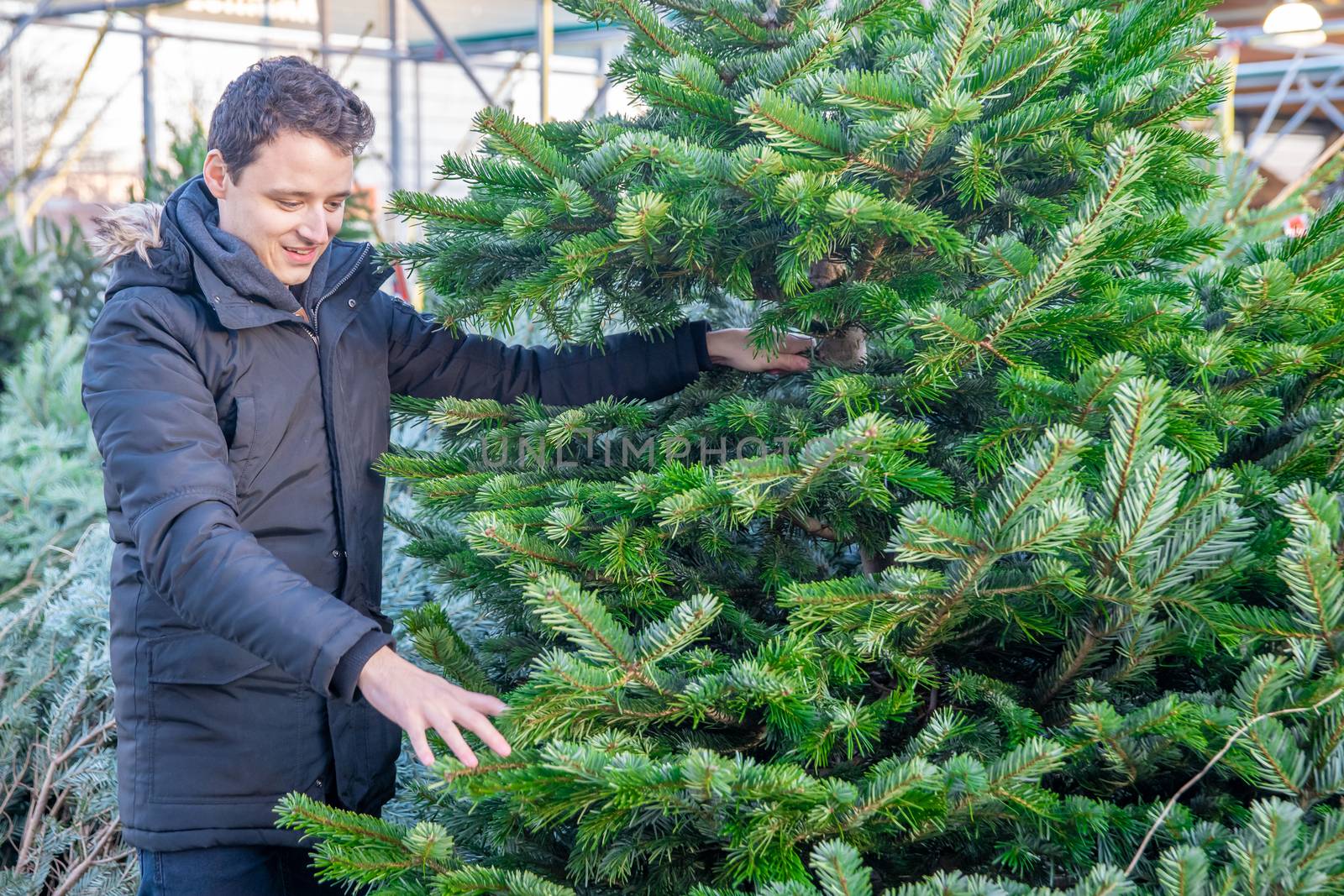 man buying christmas tree on the market.