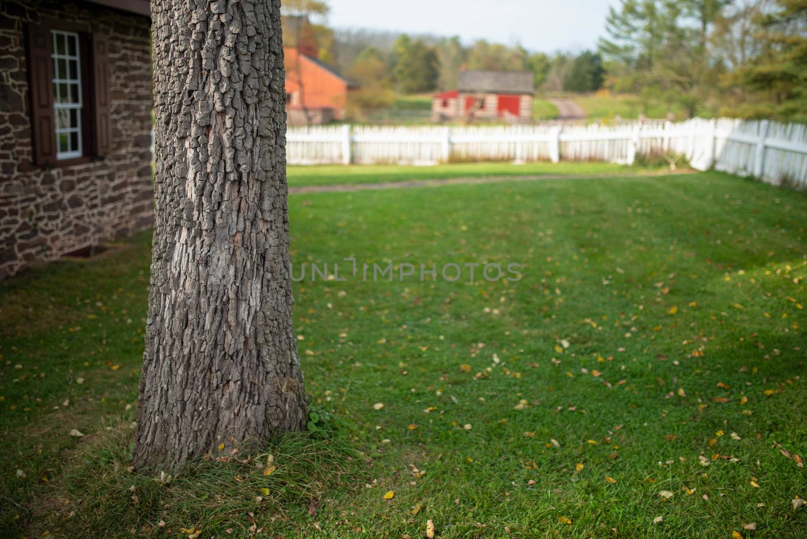 Idyllic old fashioned rural farm scene with stone house, white picket fence and barn. Focus on off center tree, defocused copy space grass. Positive emotion, warm traditional feeling and manicured lawn.