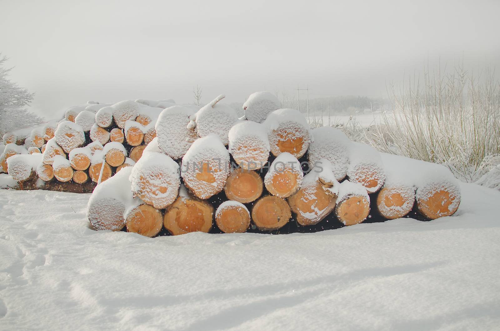 Pile of cut wood logs under white winter snow. Logs under the white fresh snow. by KajaNi